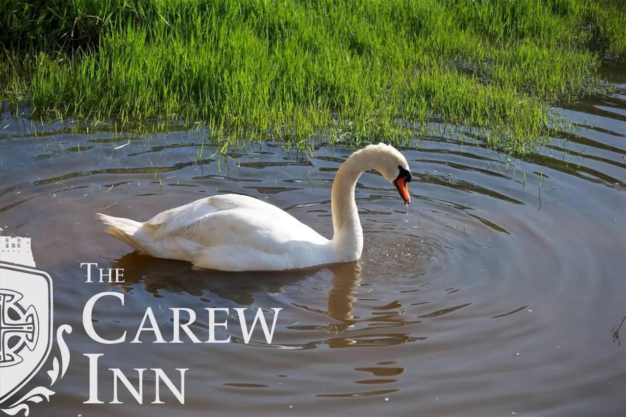 Carew Inn