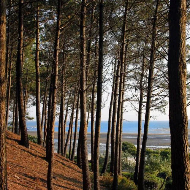 Other in Résidence de Tourisme Vacances Bleues Villa Regina