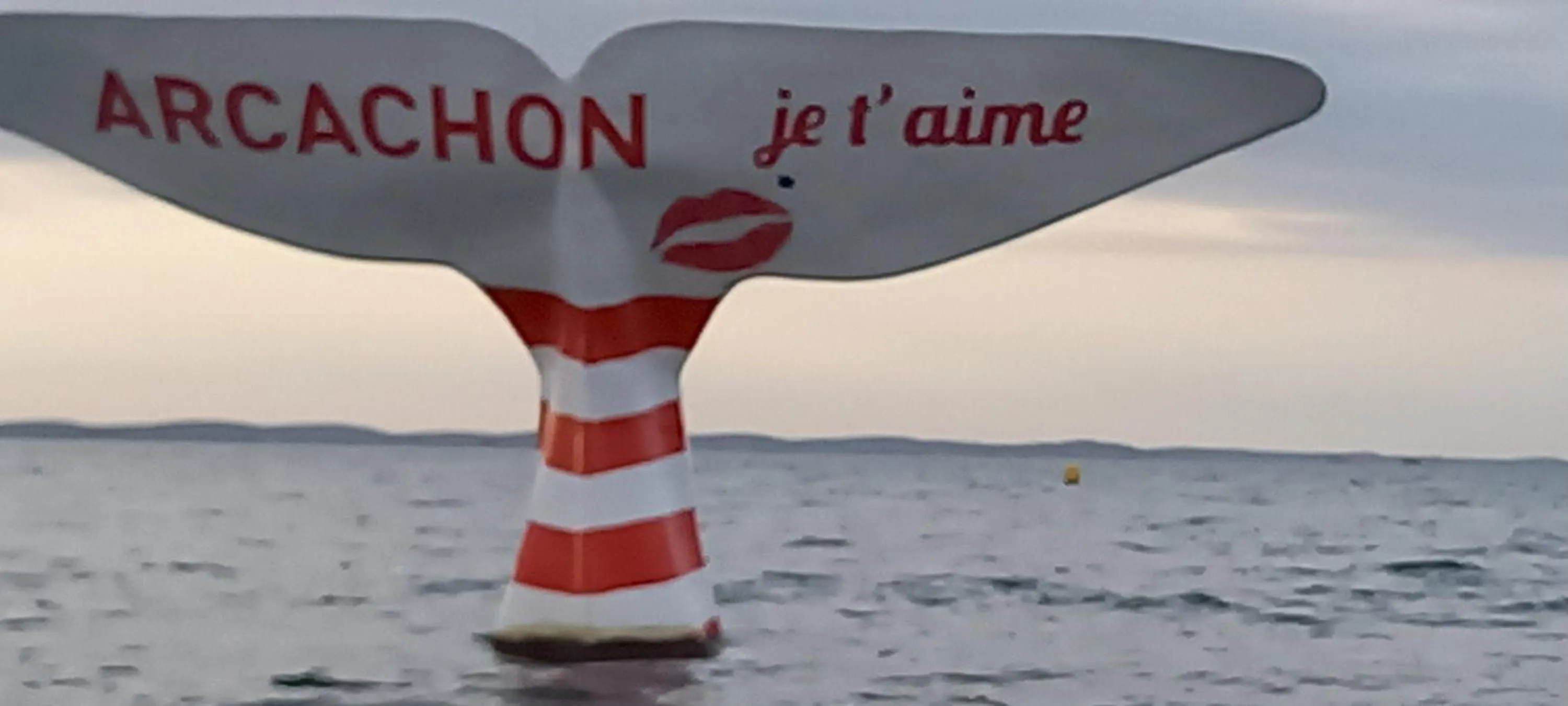 Other in Résidence de Tourisme Vacances Bleues Villa Regina