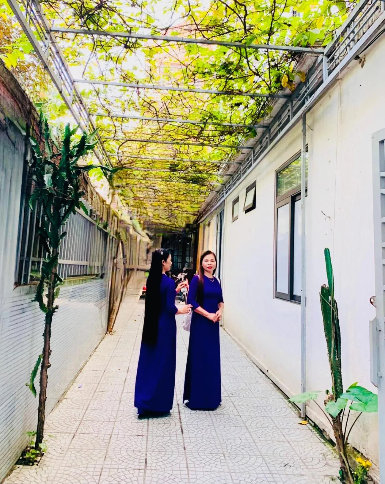 Facade/entrance in Sapphire Hotel Hue