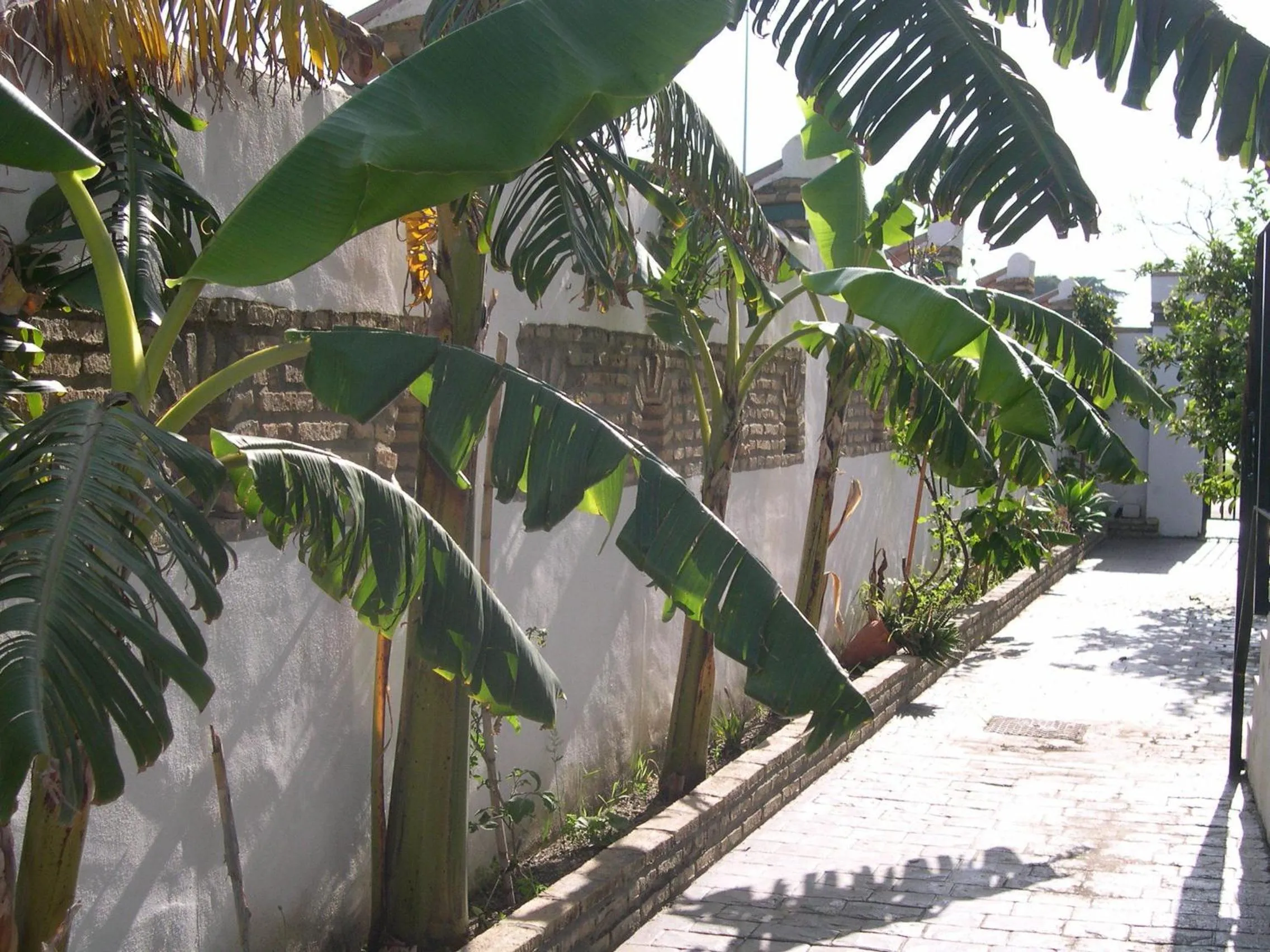 Day in Hotel Cortijo Los Gallos