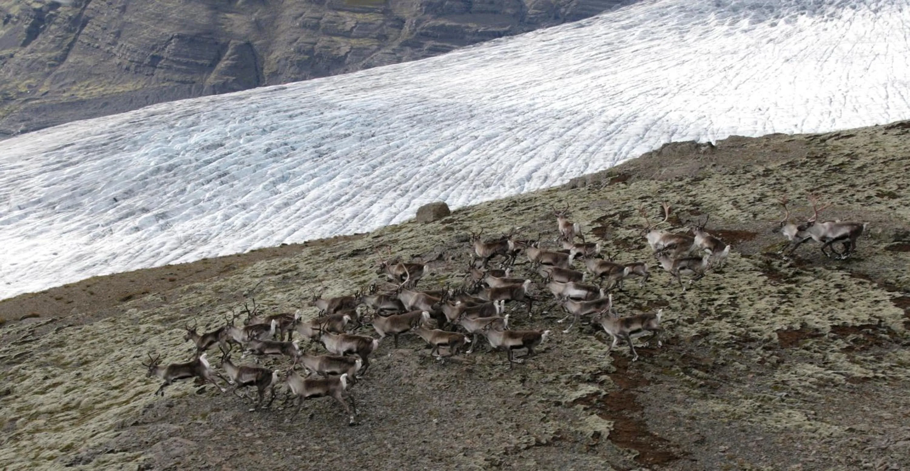 Natural landscape in Árnanes Country Hotel