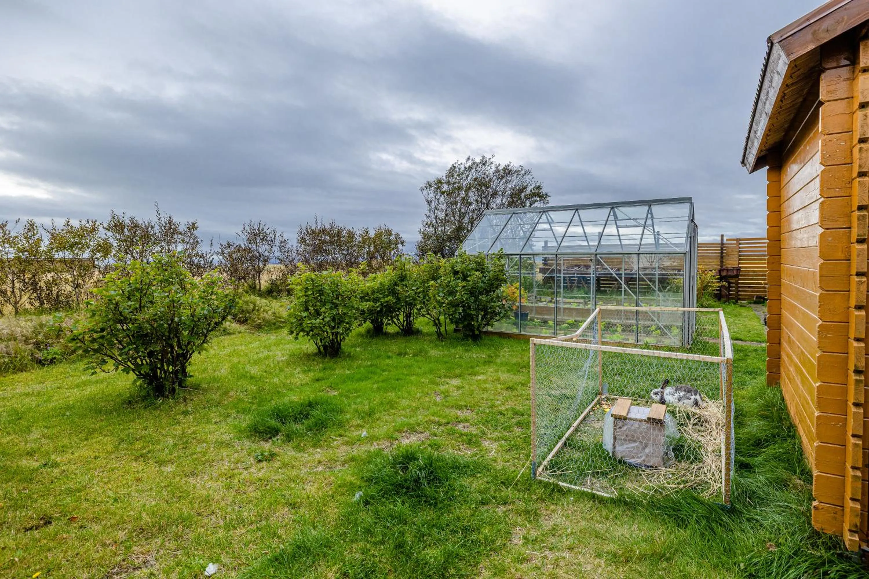 Day in Árnanes Country Hotel