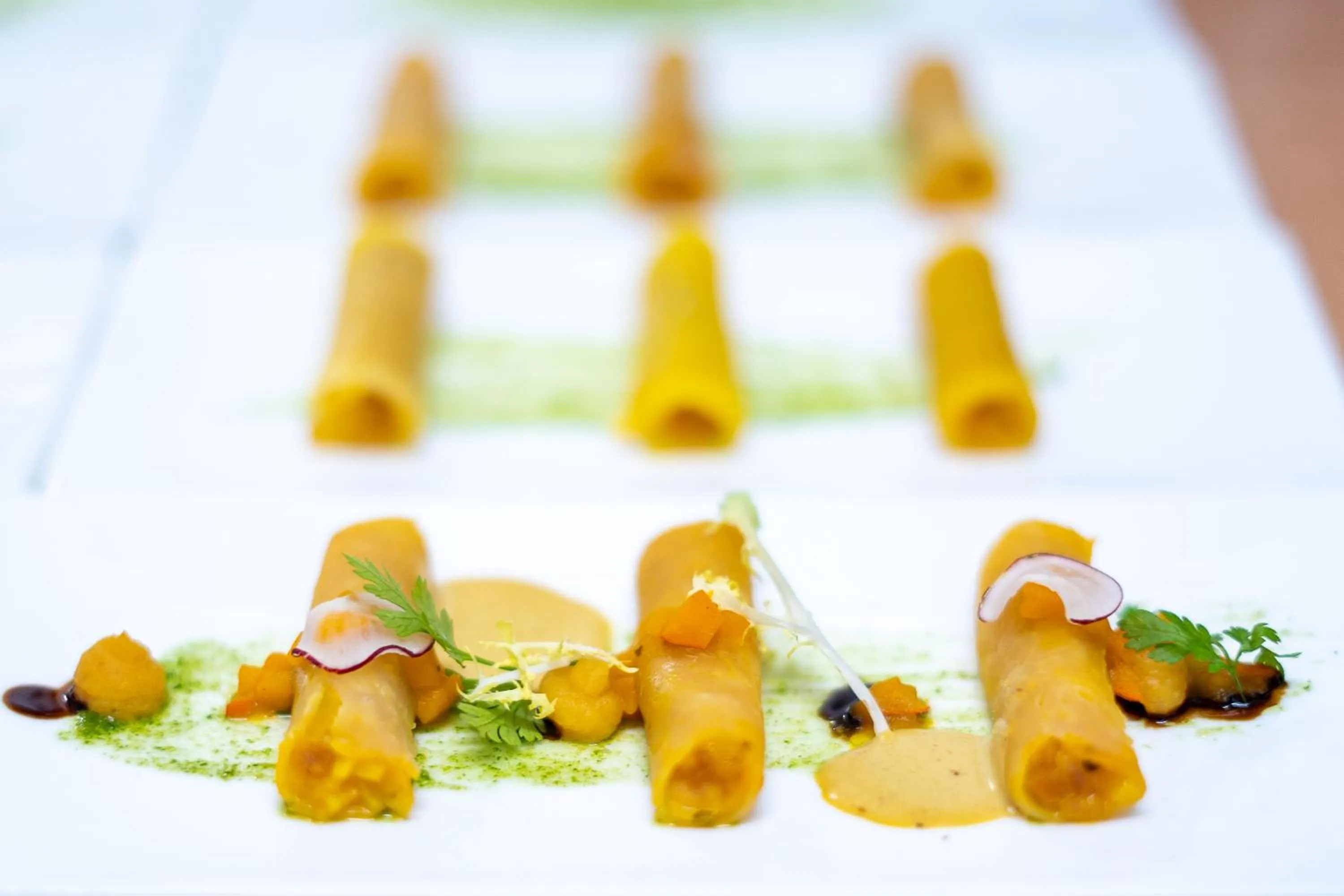 Dinner in Warias Hotel am Geiseltalsee - Nähe Merseburg und Mücheln