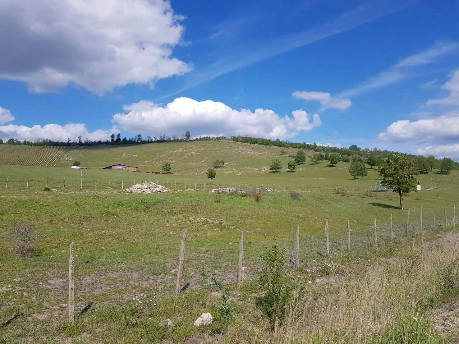 Natural landscape in Warias Hotel am Geiseltalsee - Nähe Merseburg und Mücheln