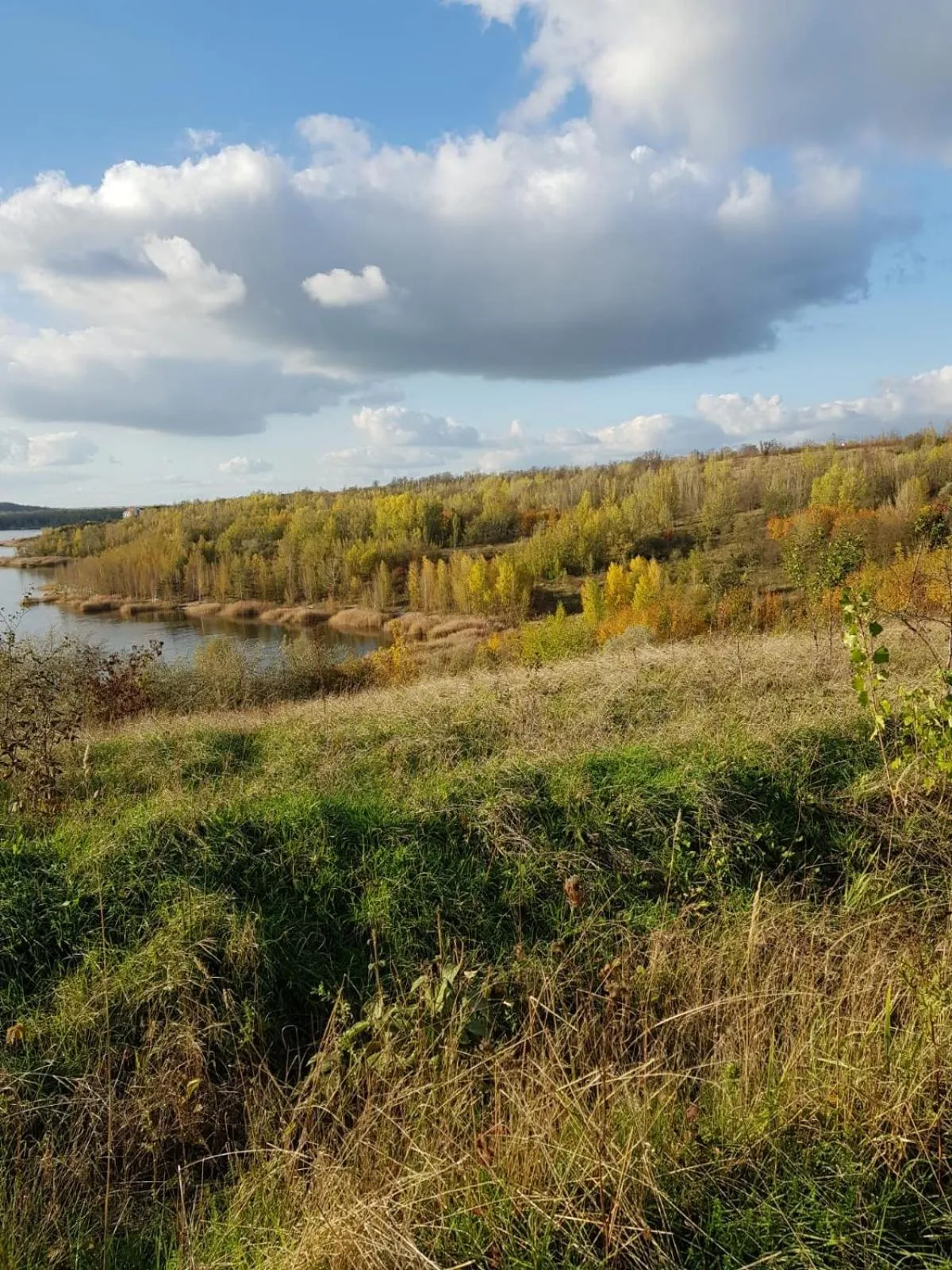 Activities in Warias Hotel am Geiseltalsee - Nähe Merseburg und Mücheln