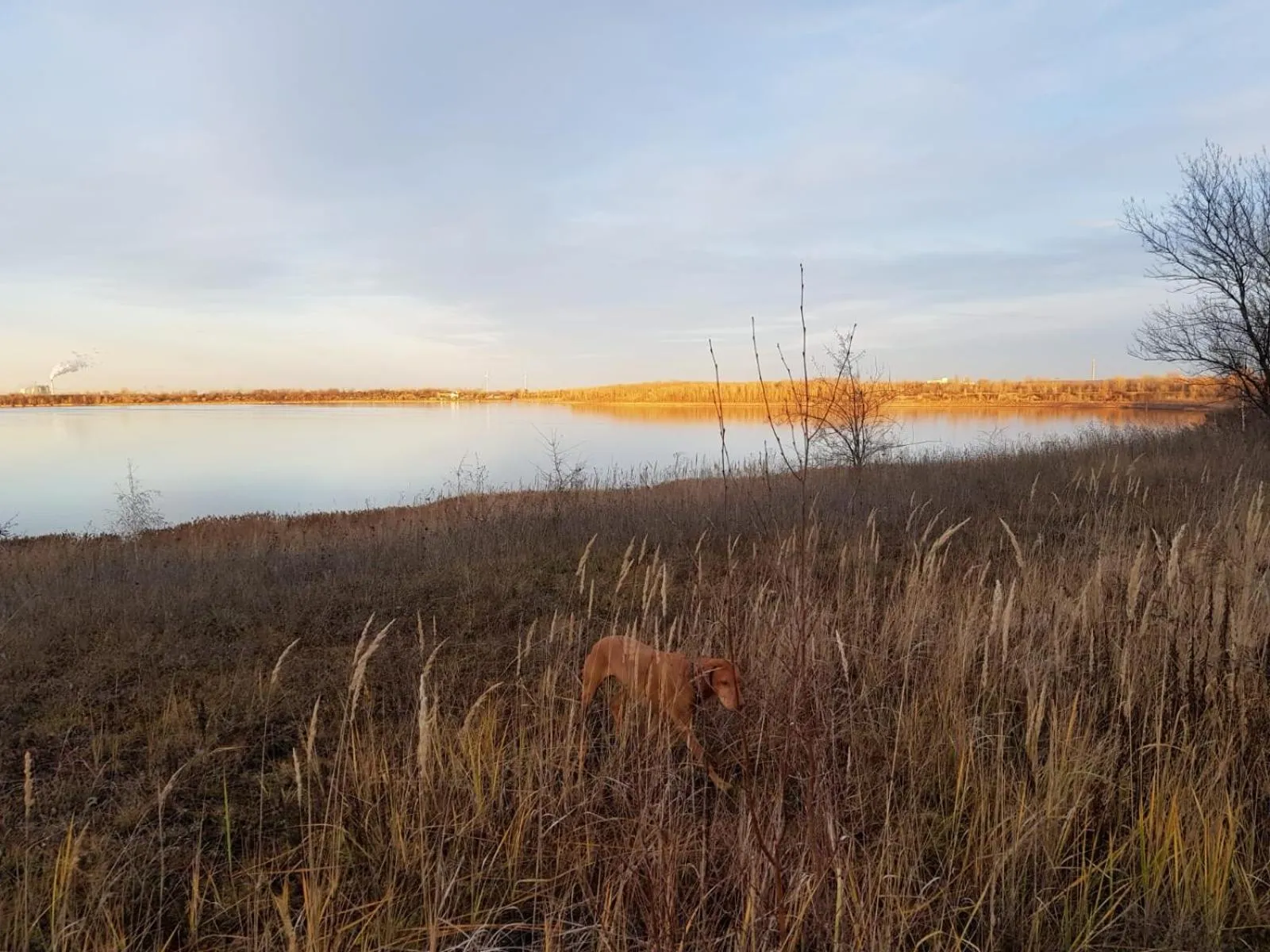 Hiking in Warias Hotel am Geiseltalsee - Nähe Merseburg und Mücheln