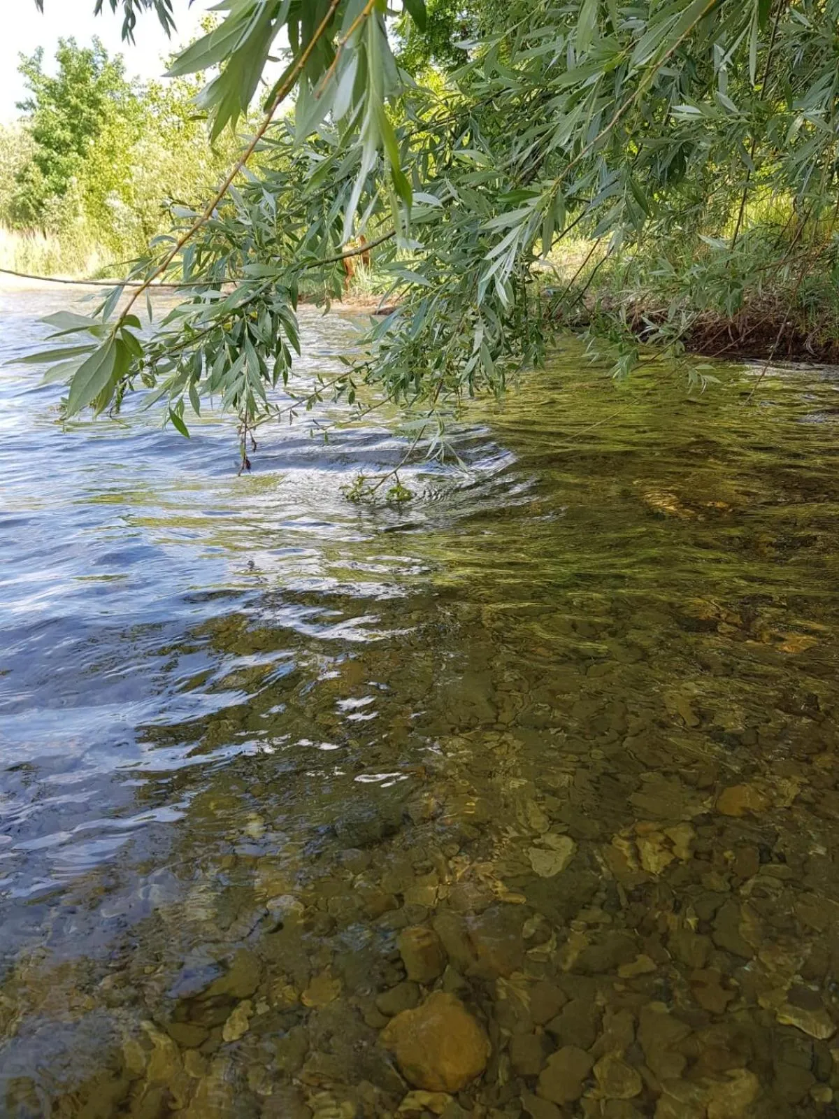 Natural landscape in Warias Hotel am Geiseltalsee - Nähe Merseburg und Mücheln