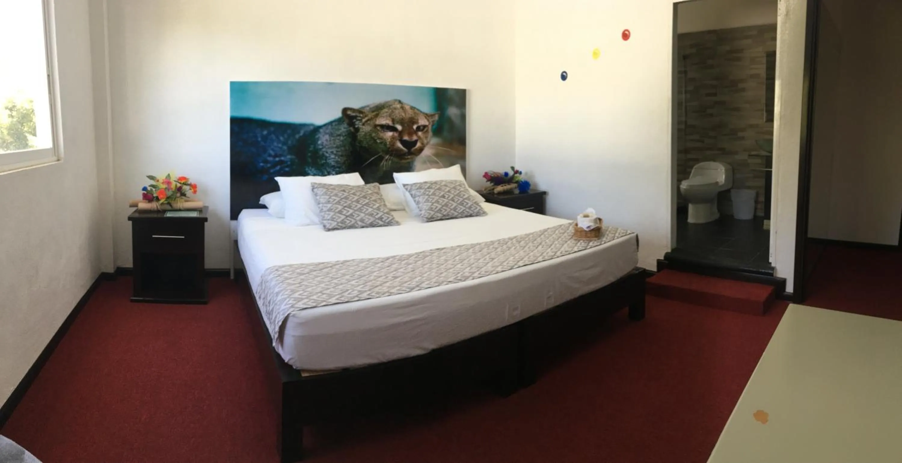 Photo of the whole room in Hotel Maragreens