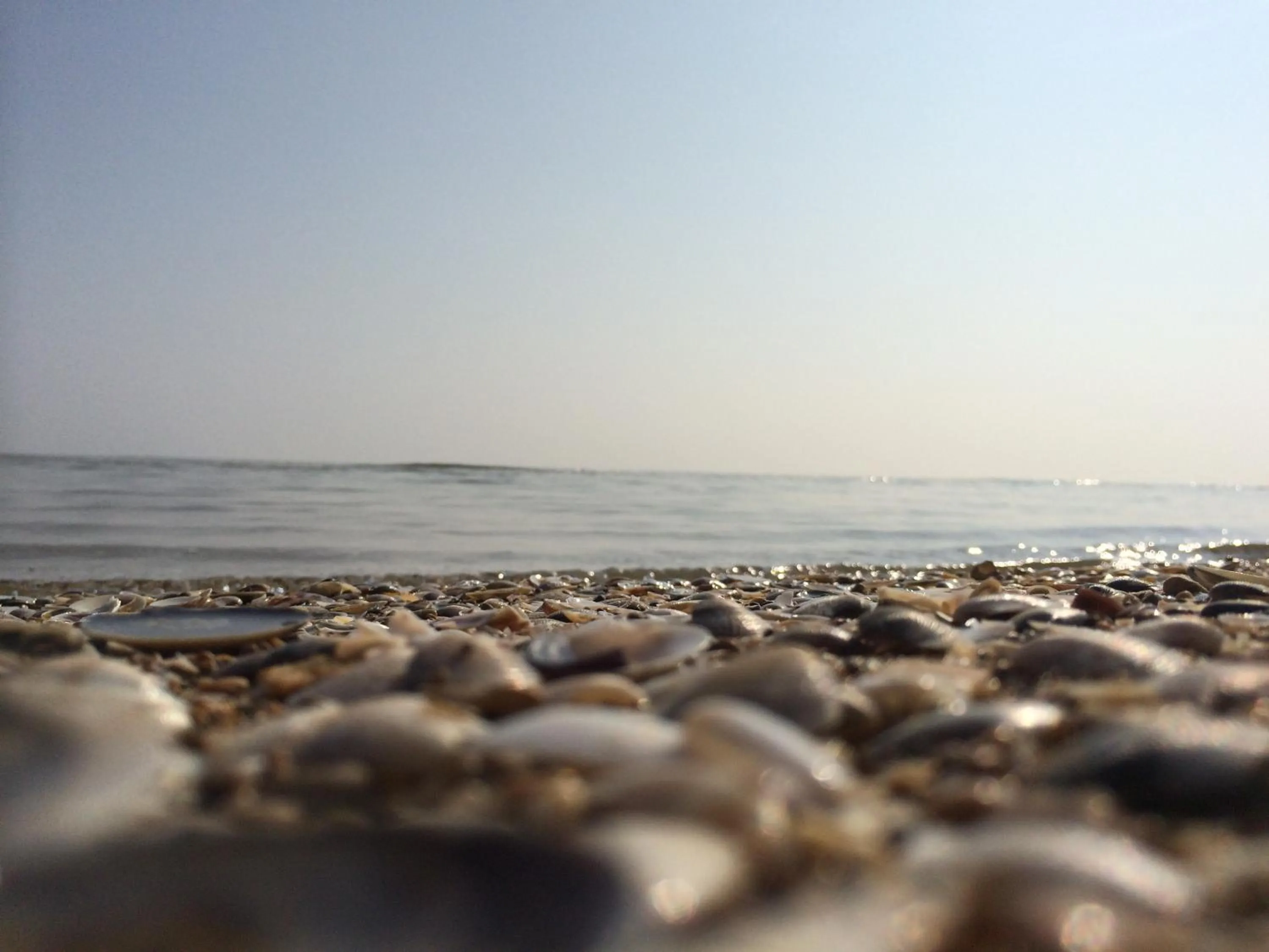 Area and facilities in Hotel Florida