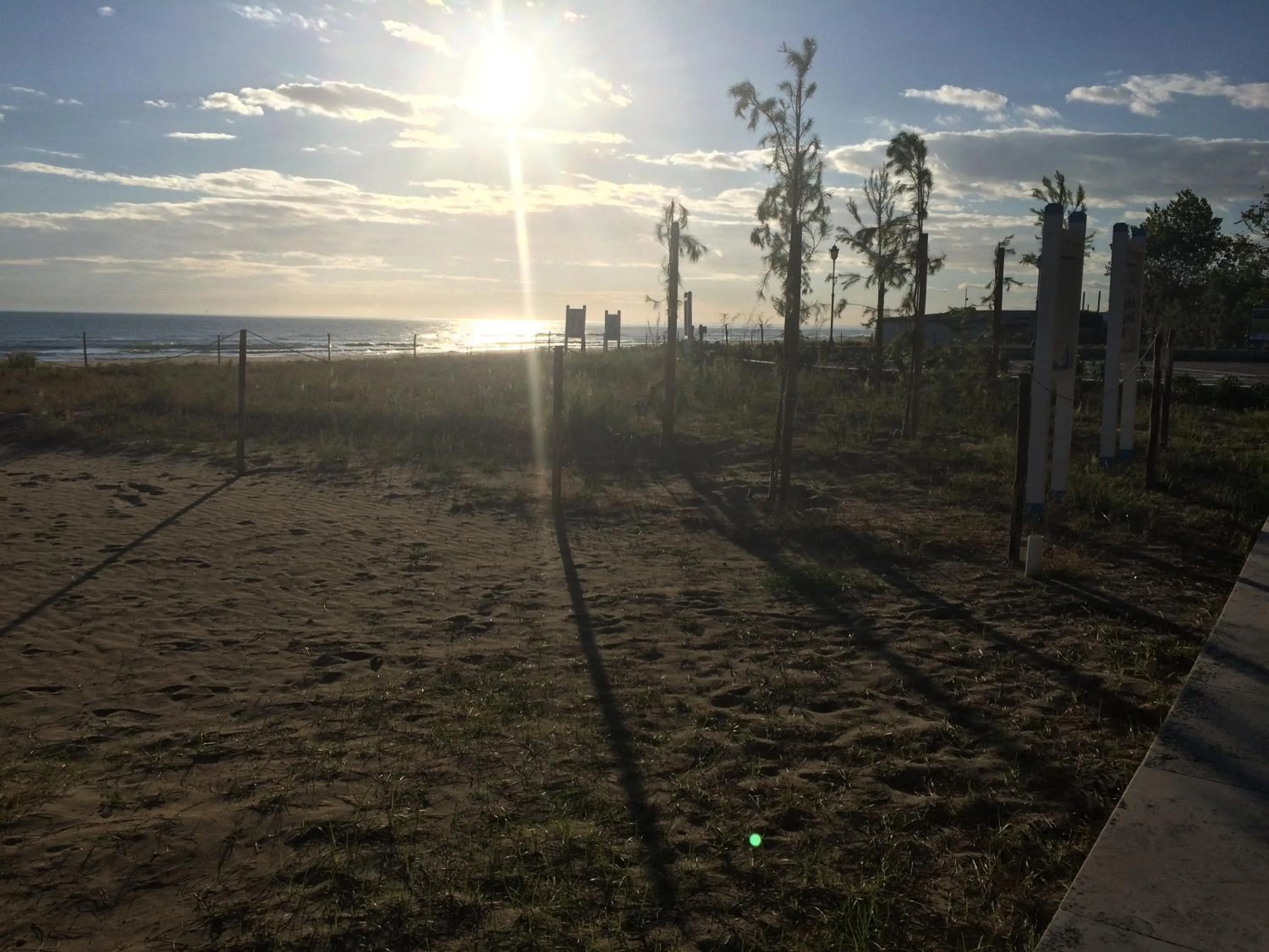 Natural landscape in Hotel Florida