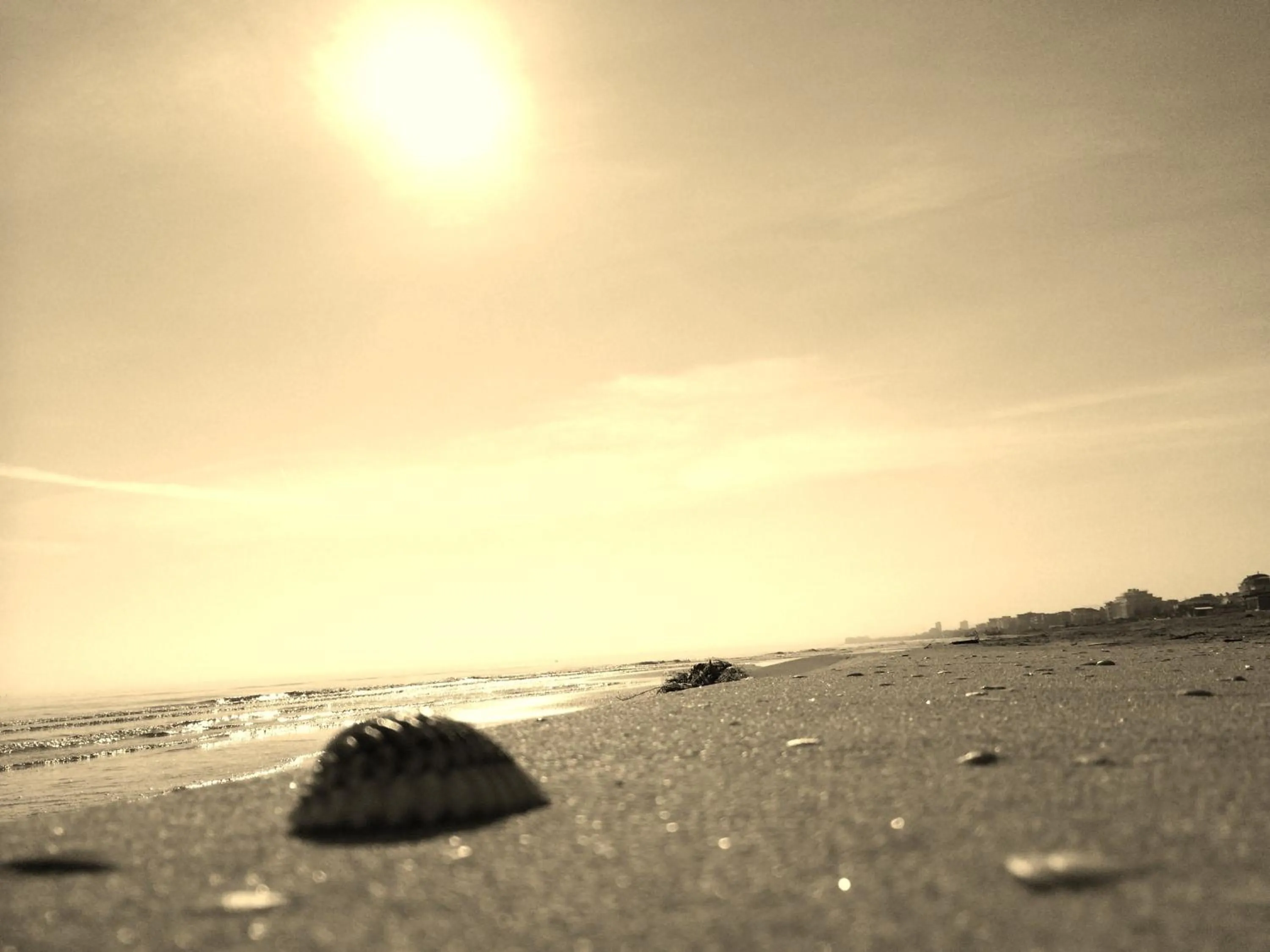 Area and facilities in Hotel Florida