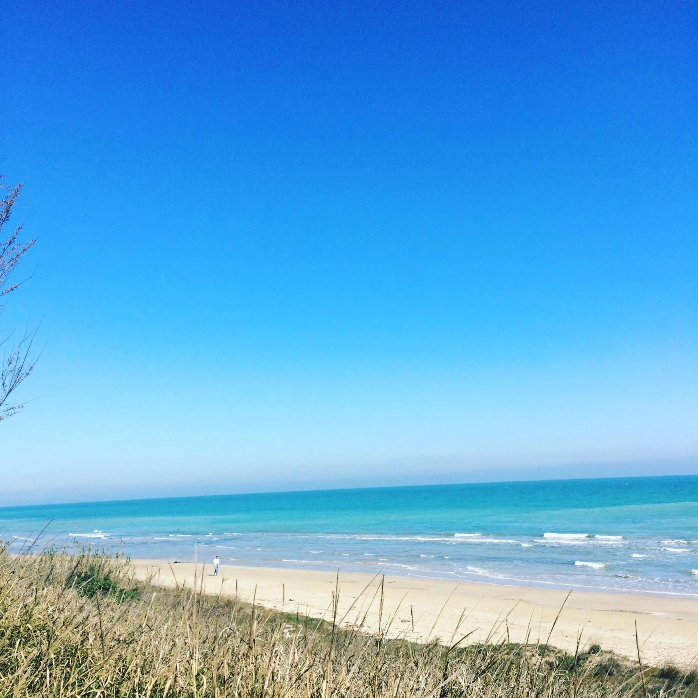 Beach in Hotel Florida