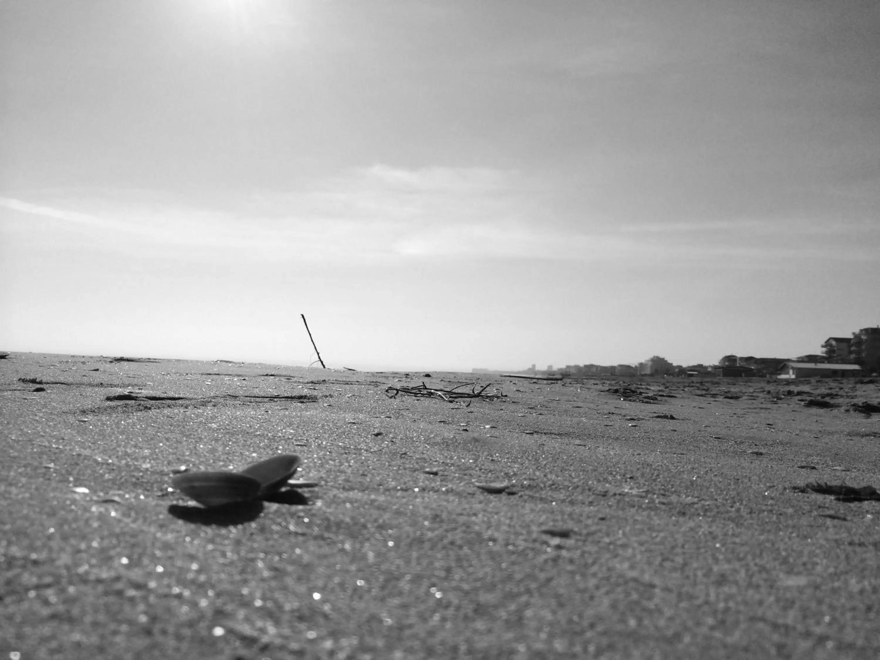 Area and facilities in Hotel Florida