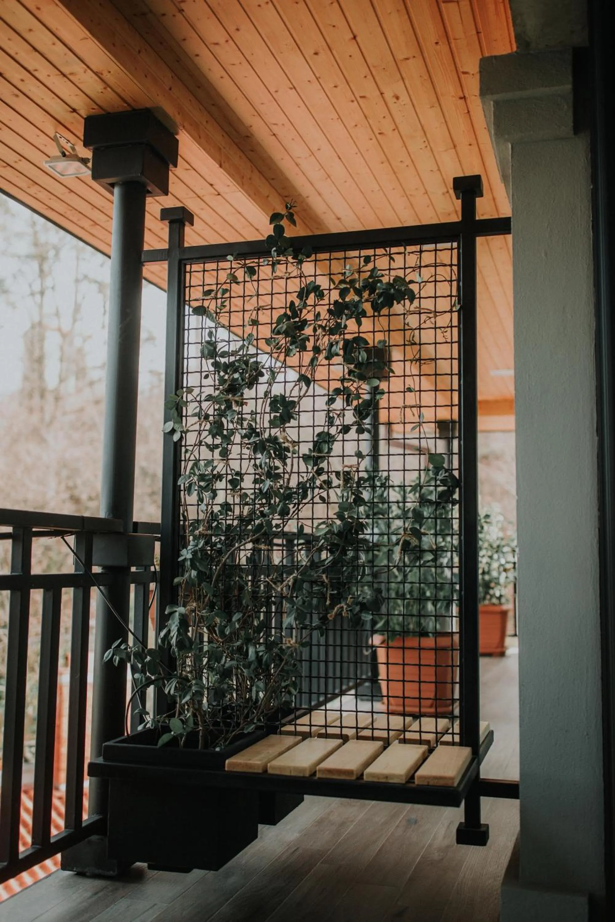 Balcony/Terrace in Seventeen Rooms