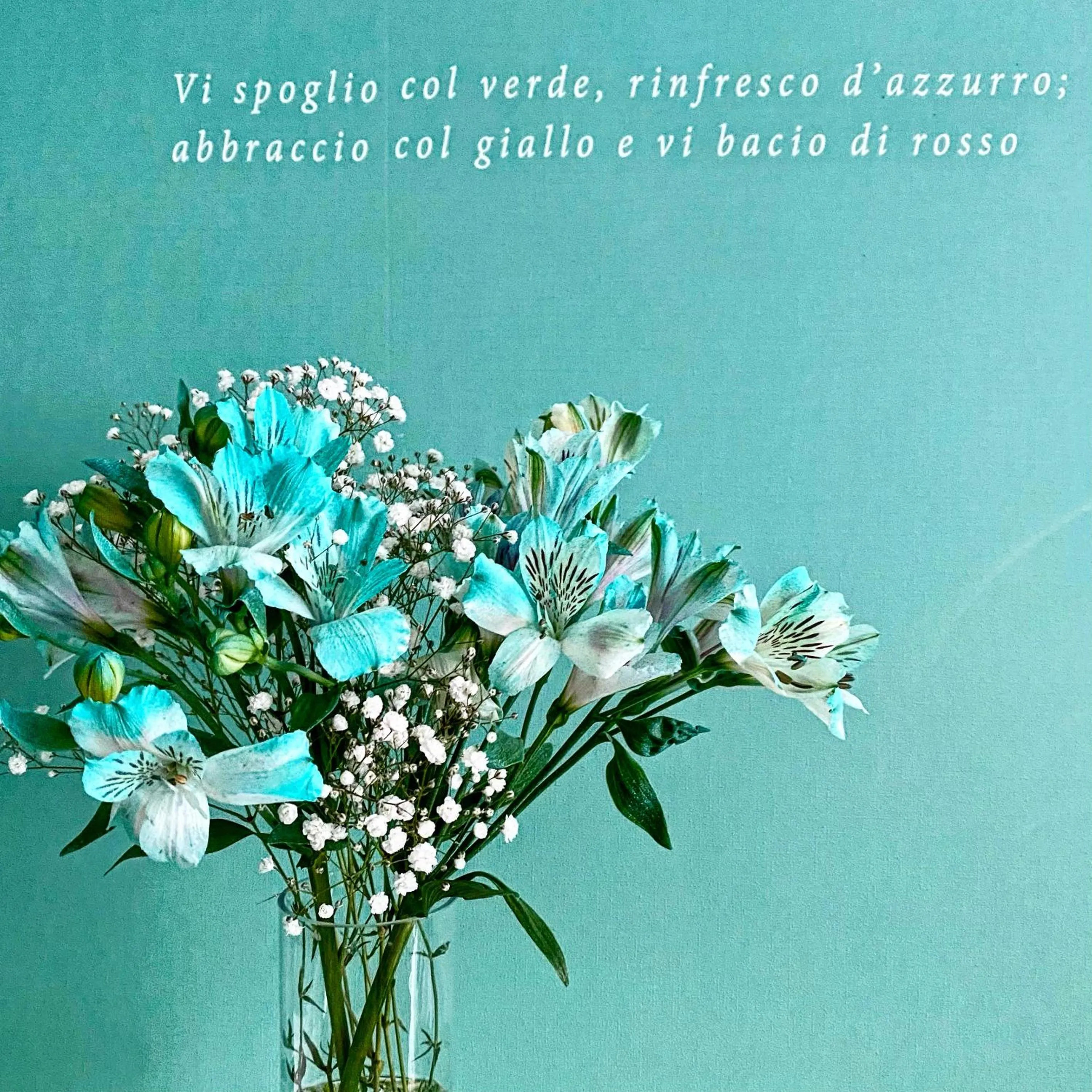 Bedroom in Stelle d'acqua