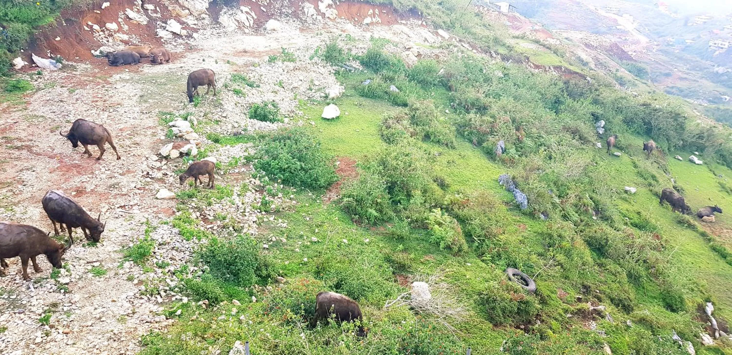 Natural landscape in Wanay's Rocky Mountain Homestay