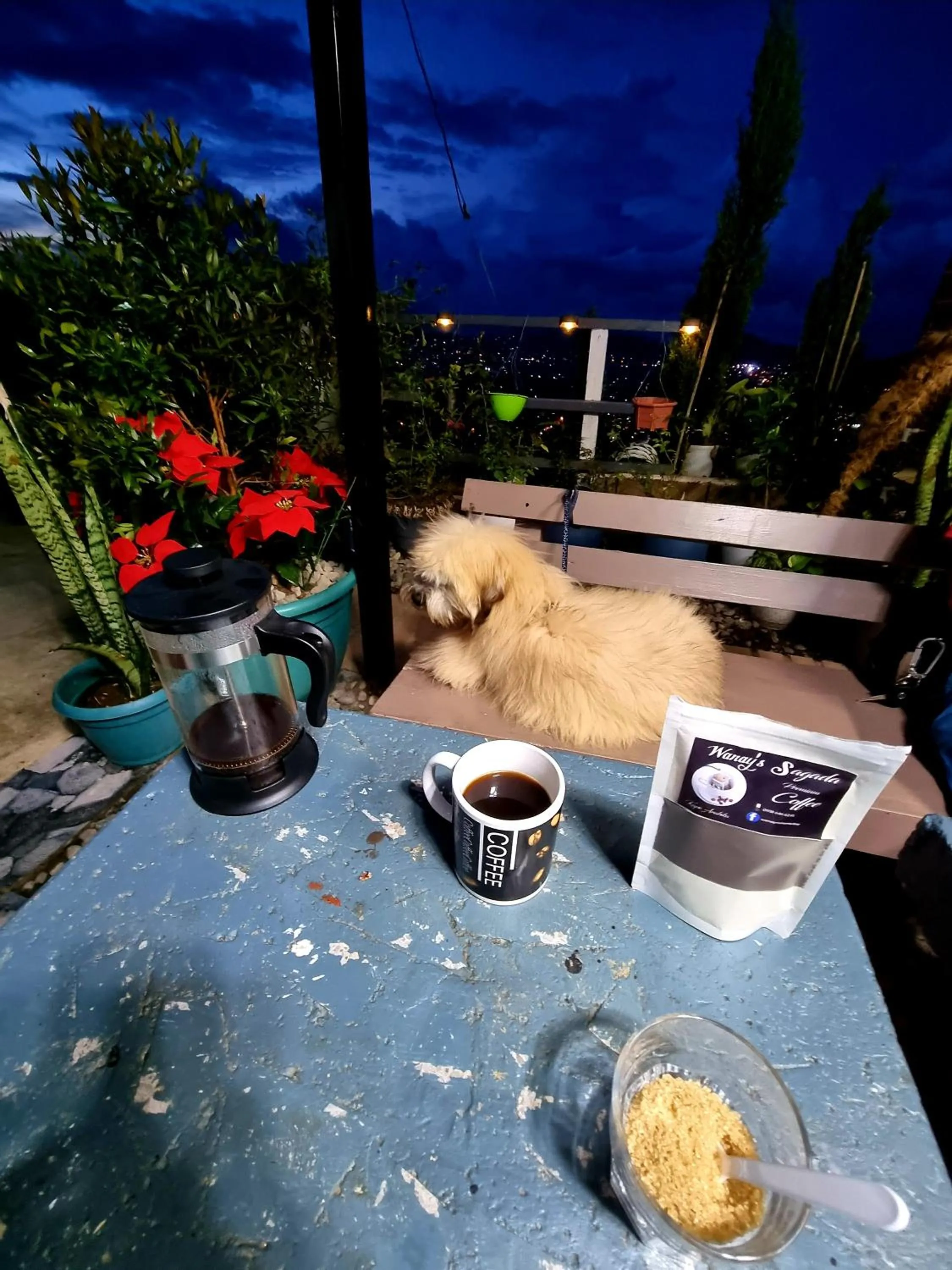 Night in Wanay's Rocky Mountain Homestay