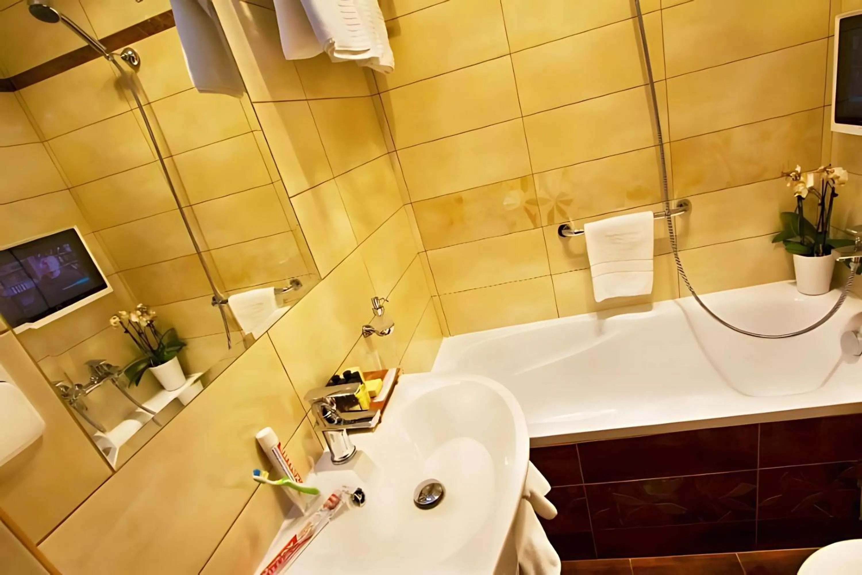 Bathroom in Danubia Gate Hotel