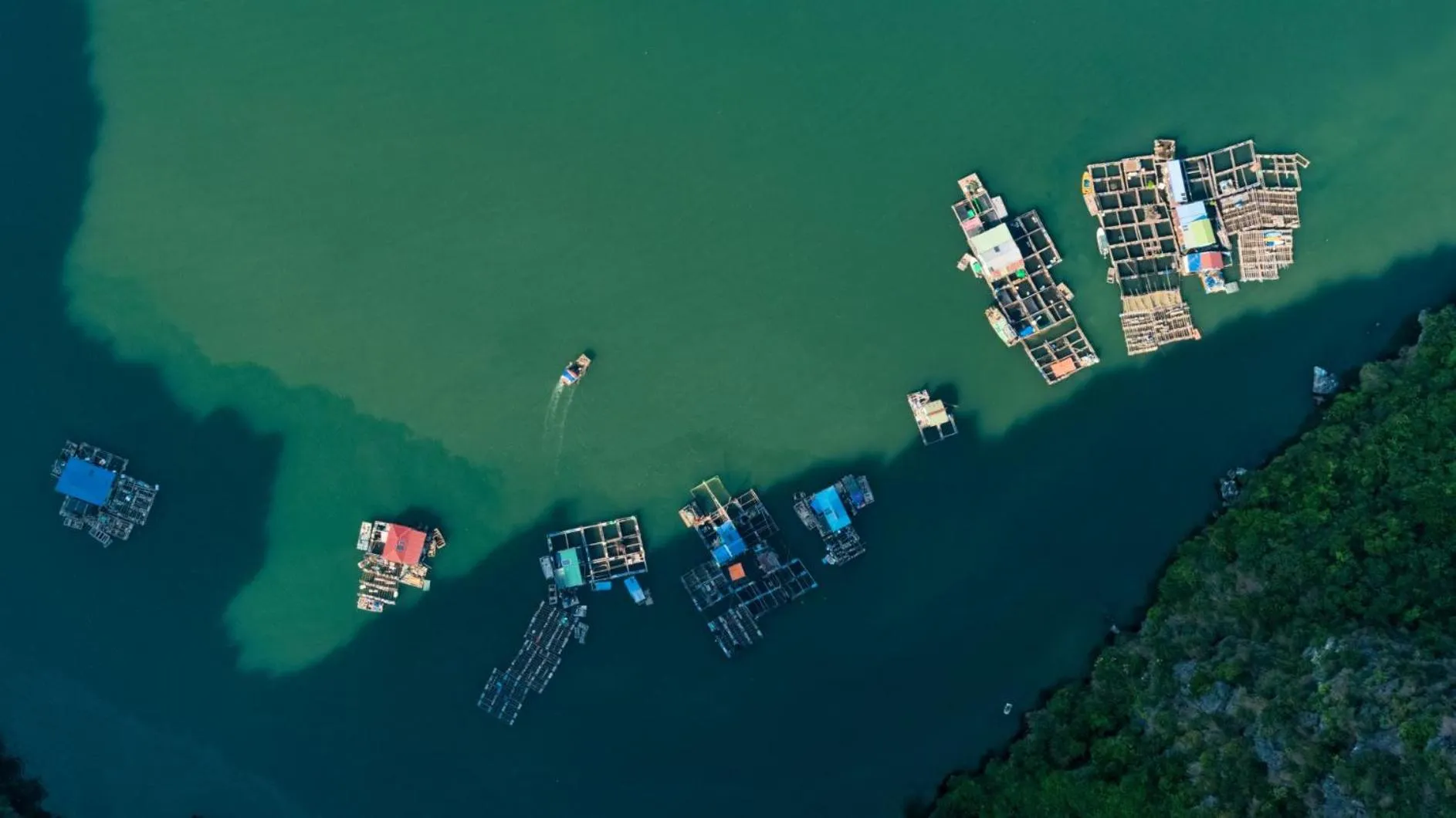 Natural landscape in Indochine Cruise Lan Ha Bay