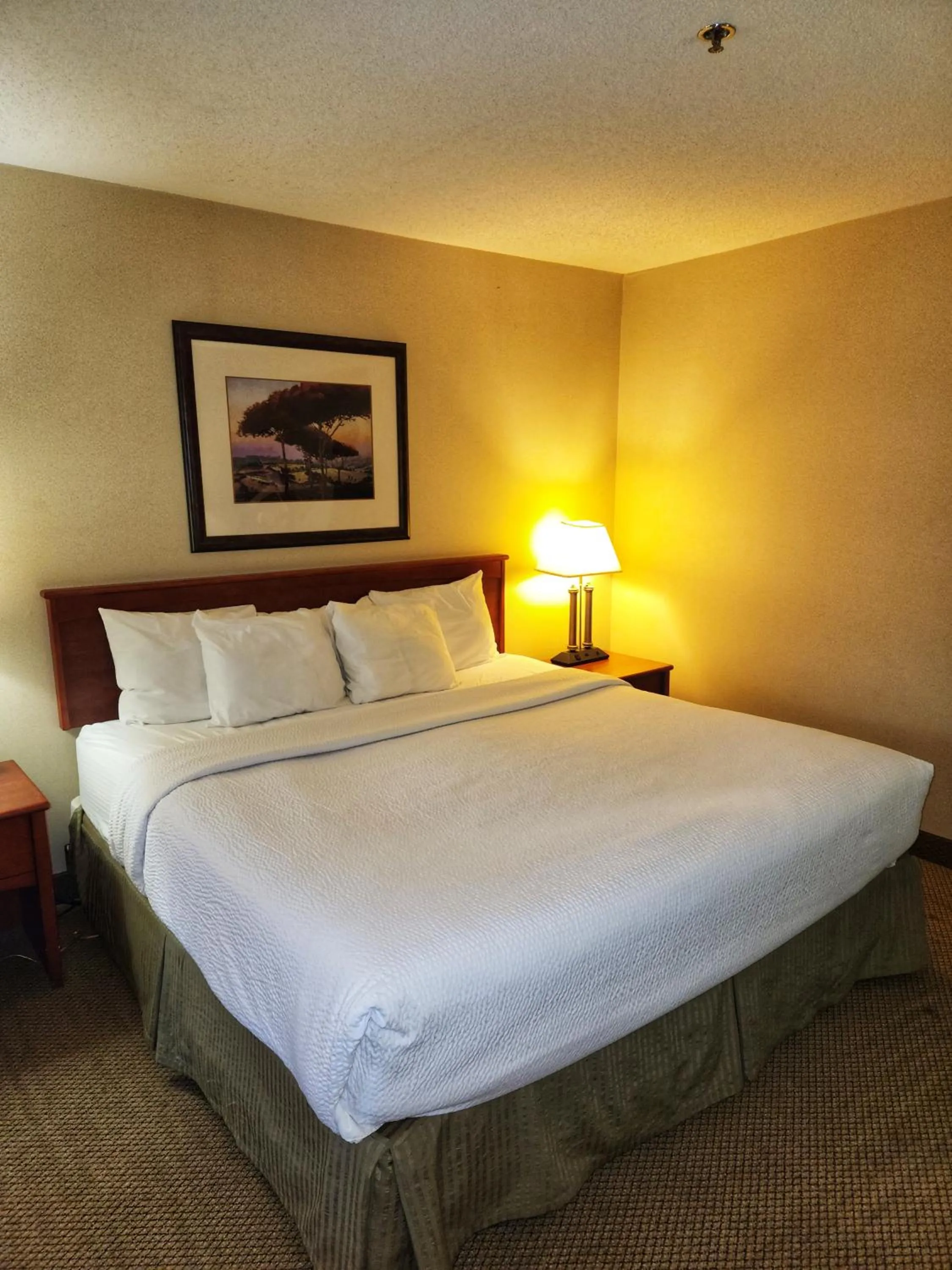 Bed in La Quinta by Wyndham Appleton College Avenue