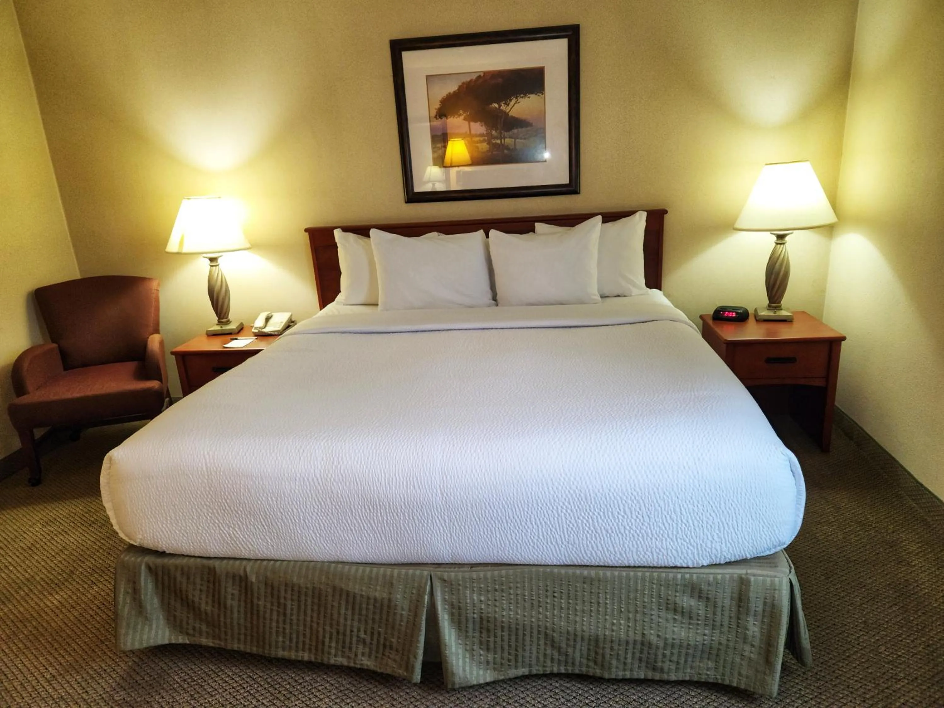 Bed in La Quinta by Wyndham Appleton College Avenue