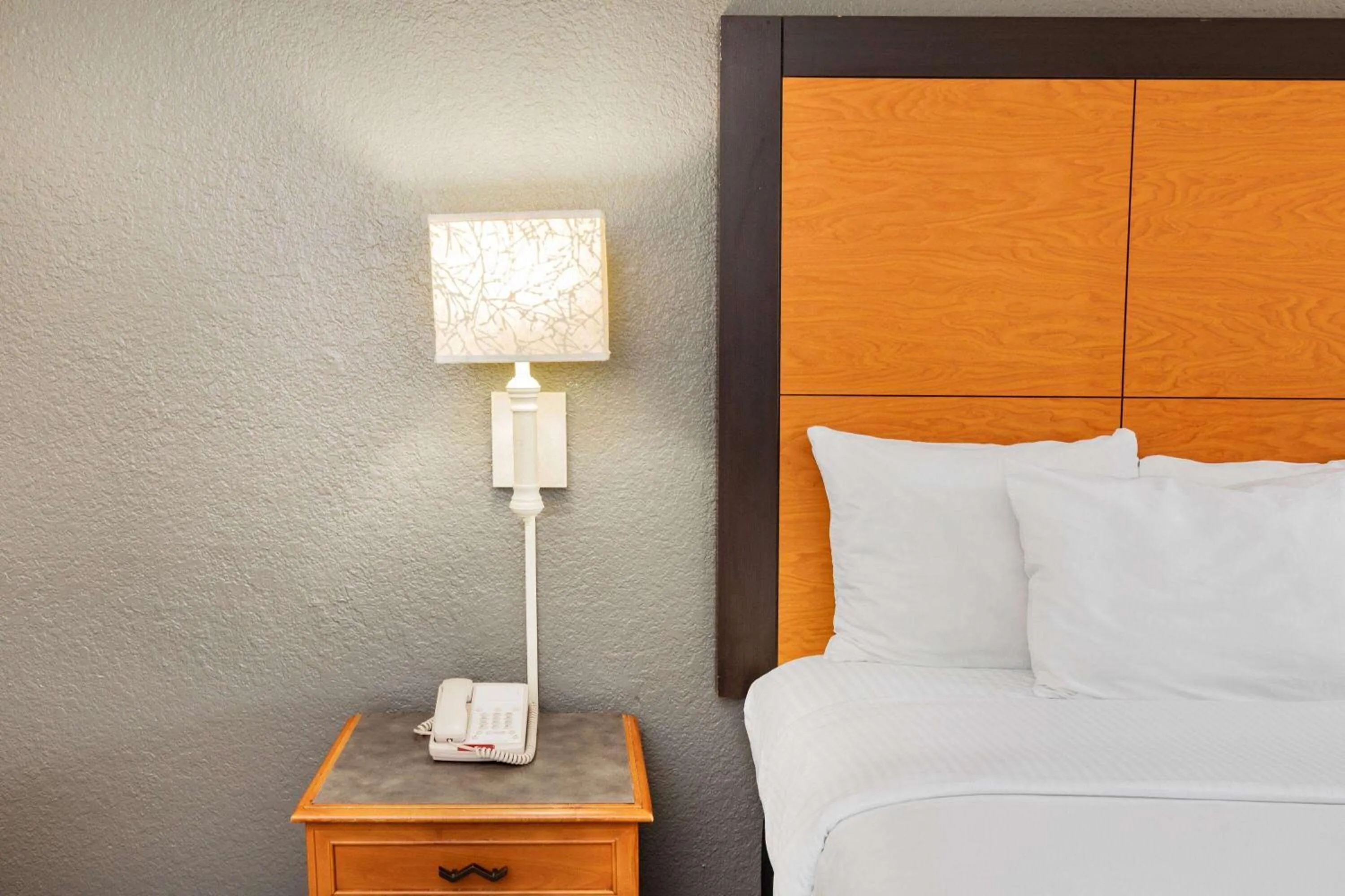 Photo of the whole room, Bed in La Quinta Inn by Wyndham Laredo I-35
