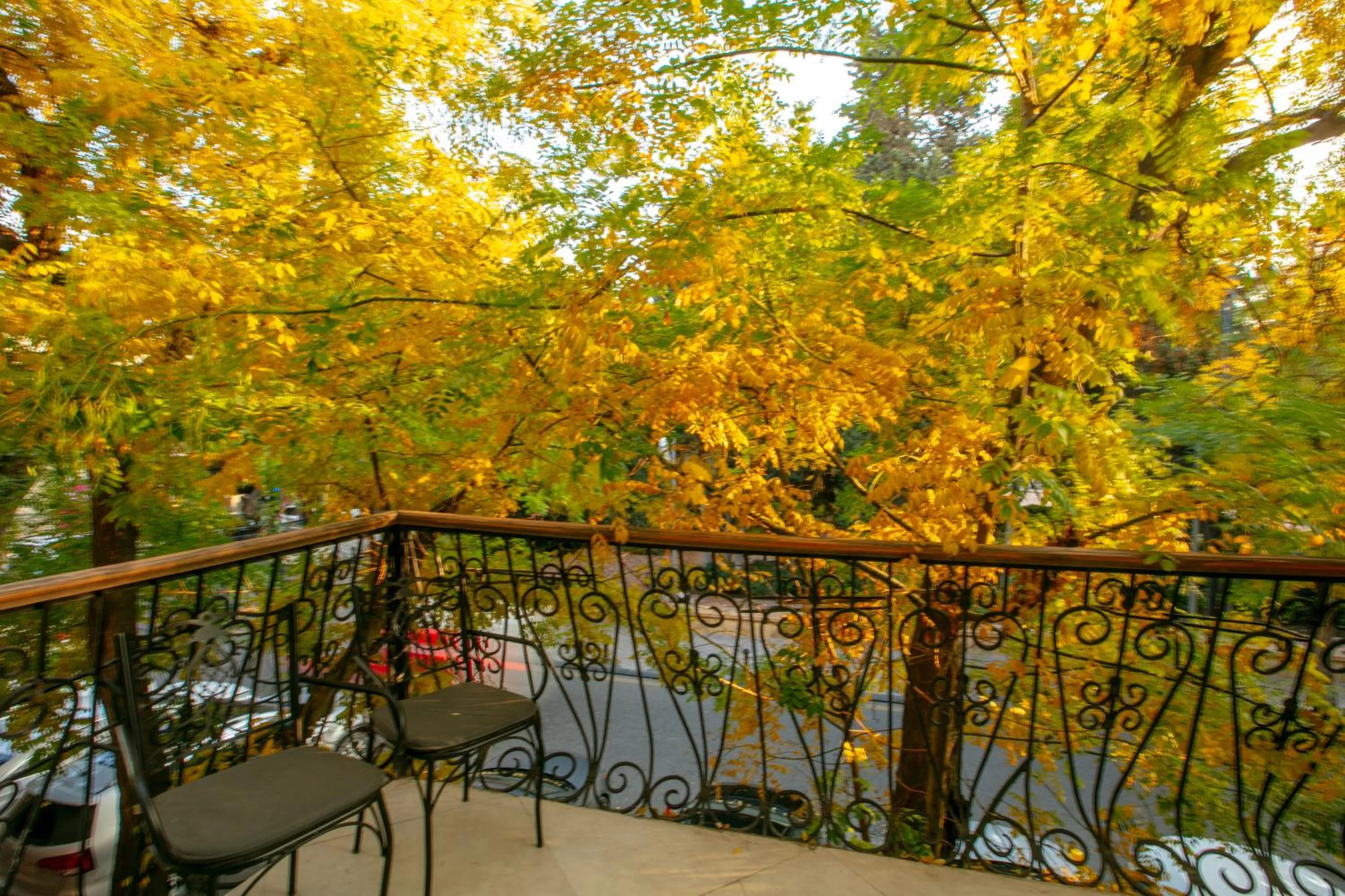 Balcony/Terrace in Theatrum Hotel Baku