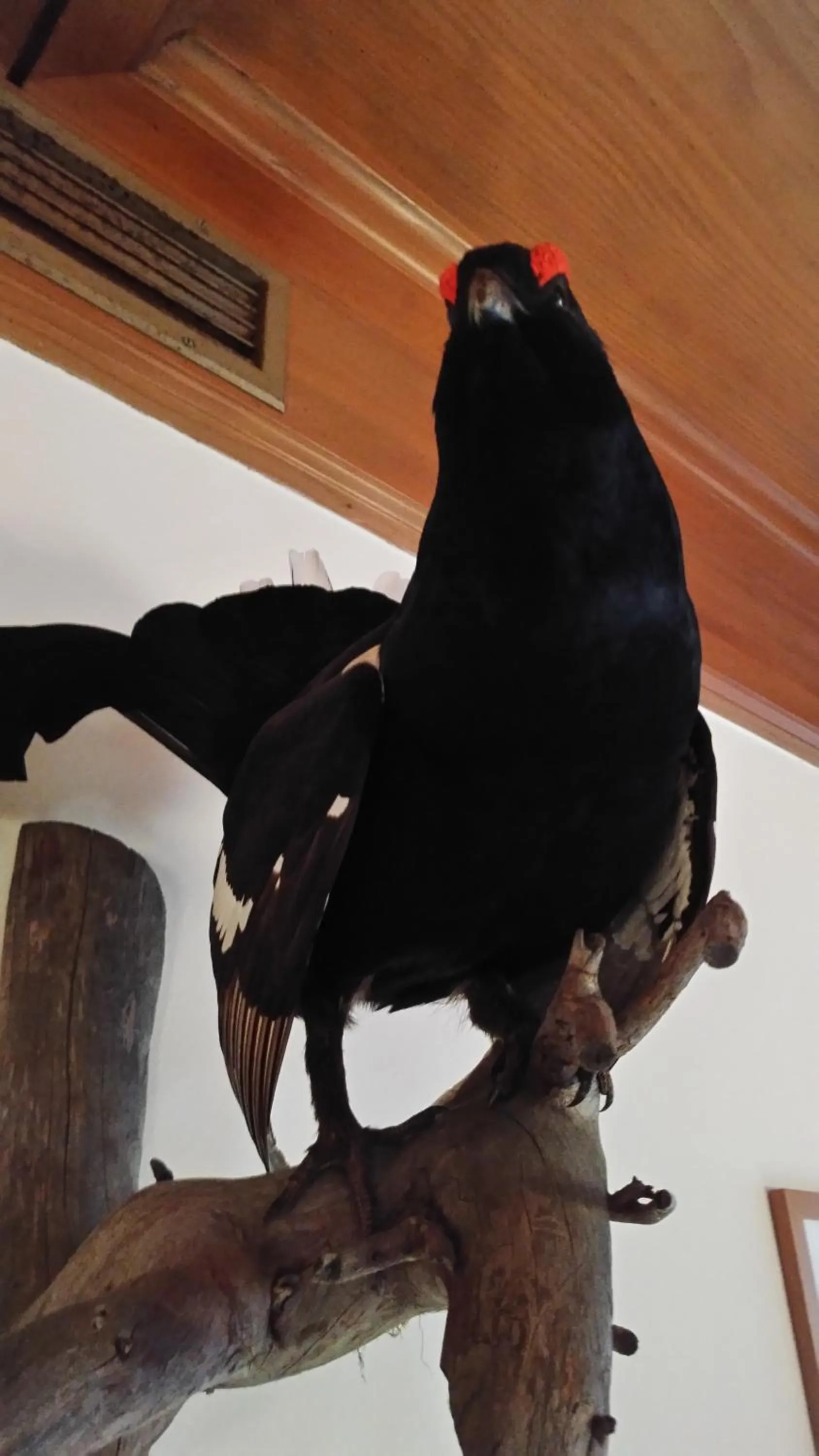 Decorative detail in Hotel Elisabeth