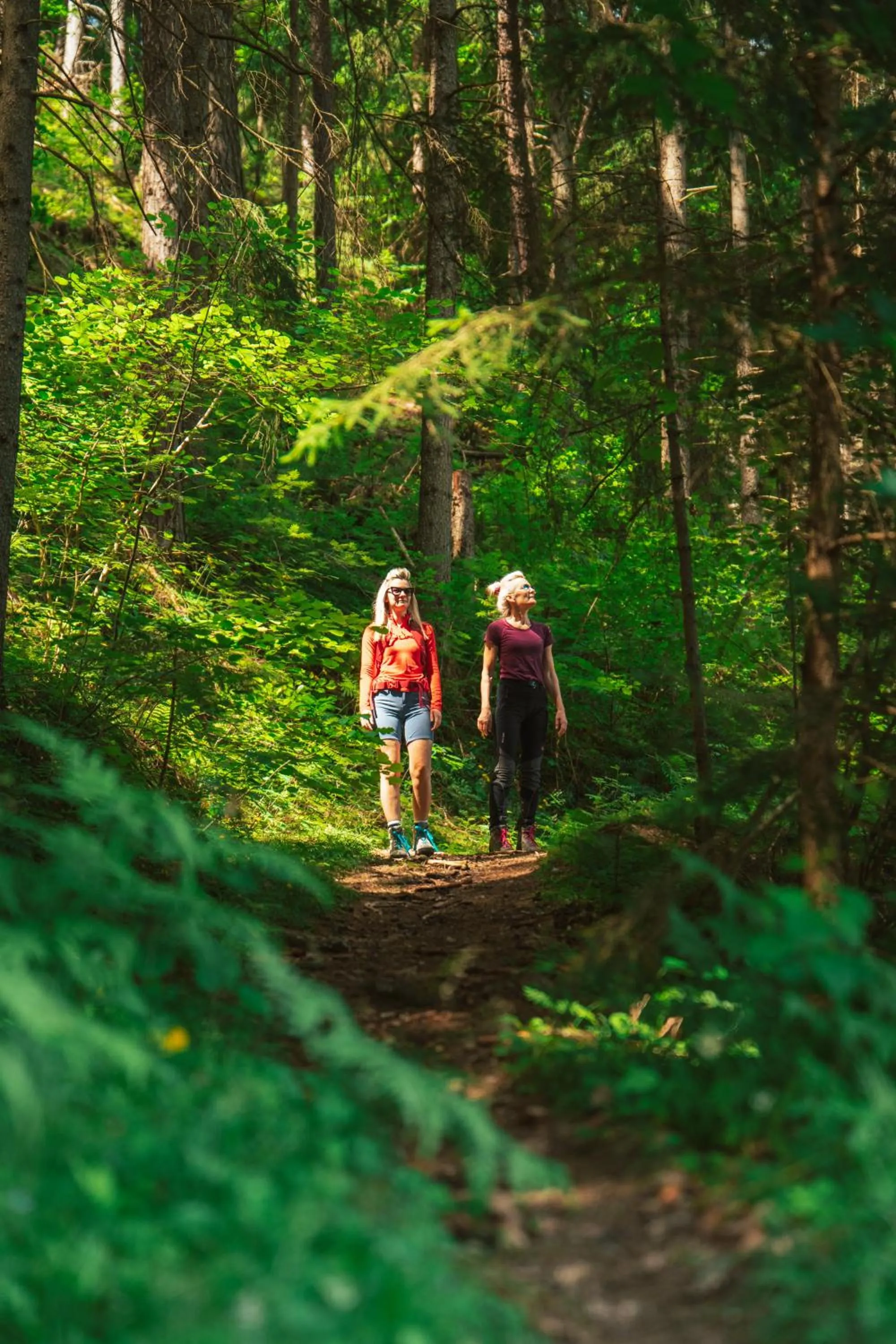 Spring in Hotel Elisabeth