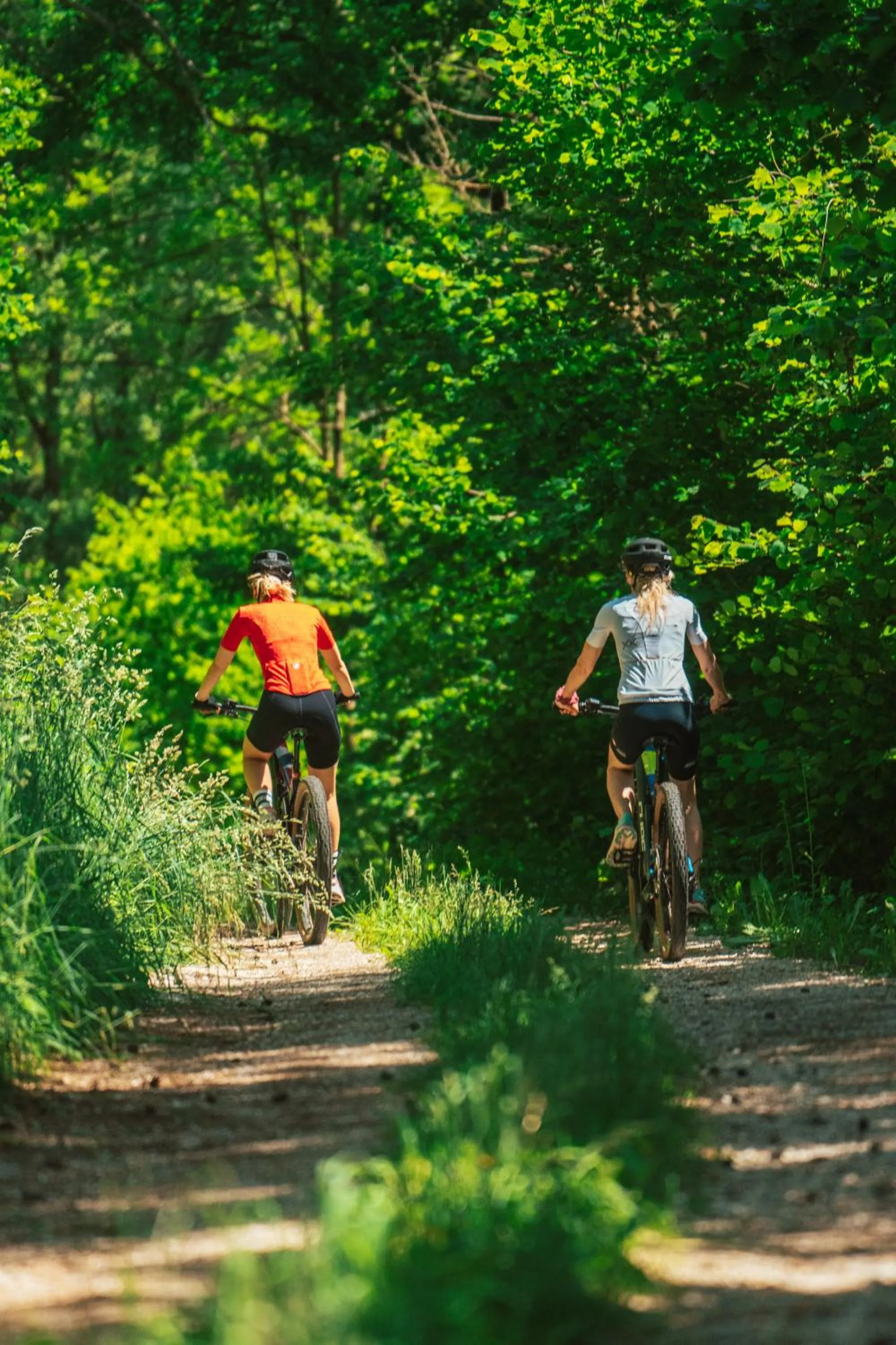 Day in Hotel Elisabeth