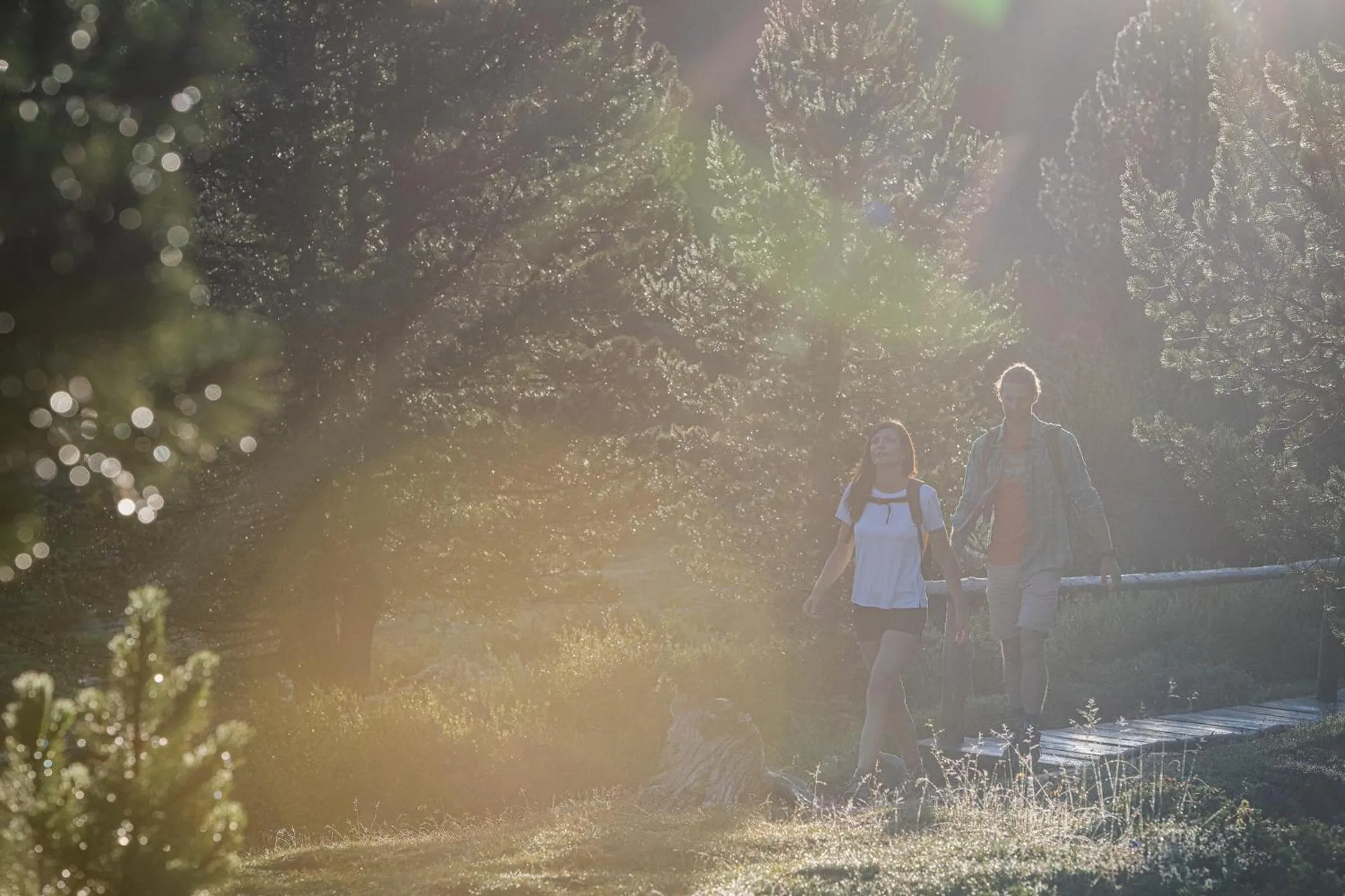 Spring in Hotel Elisabeth