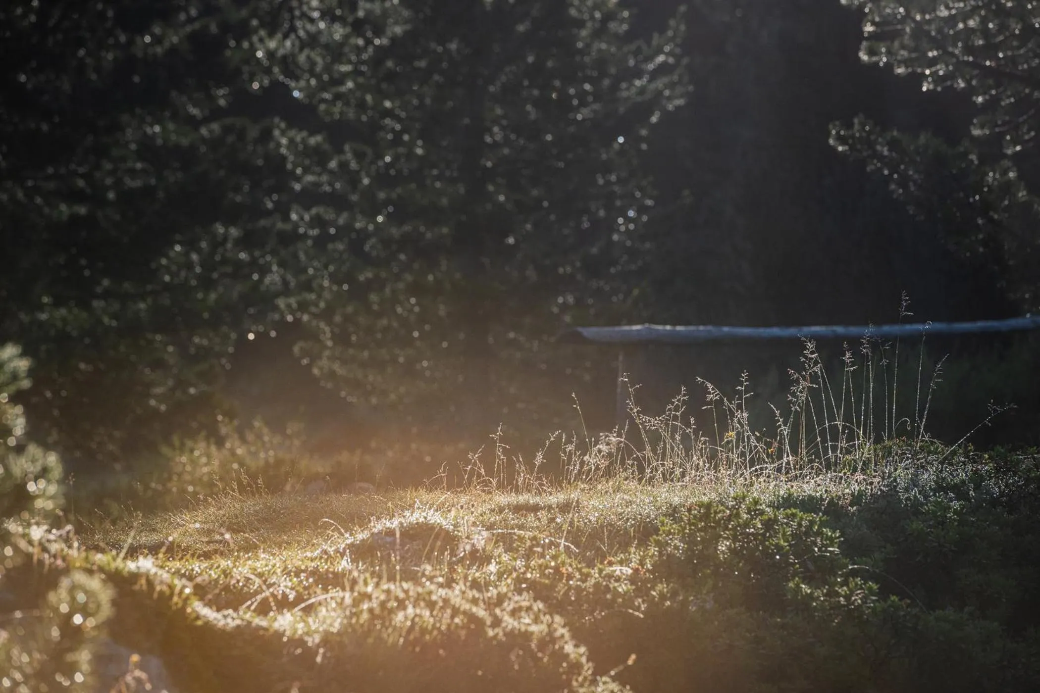 Spring in Hotel Elisabeth