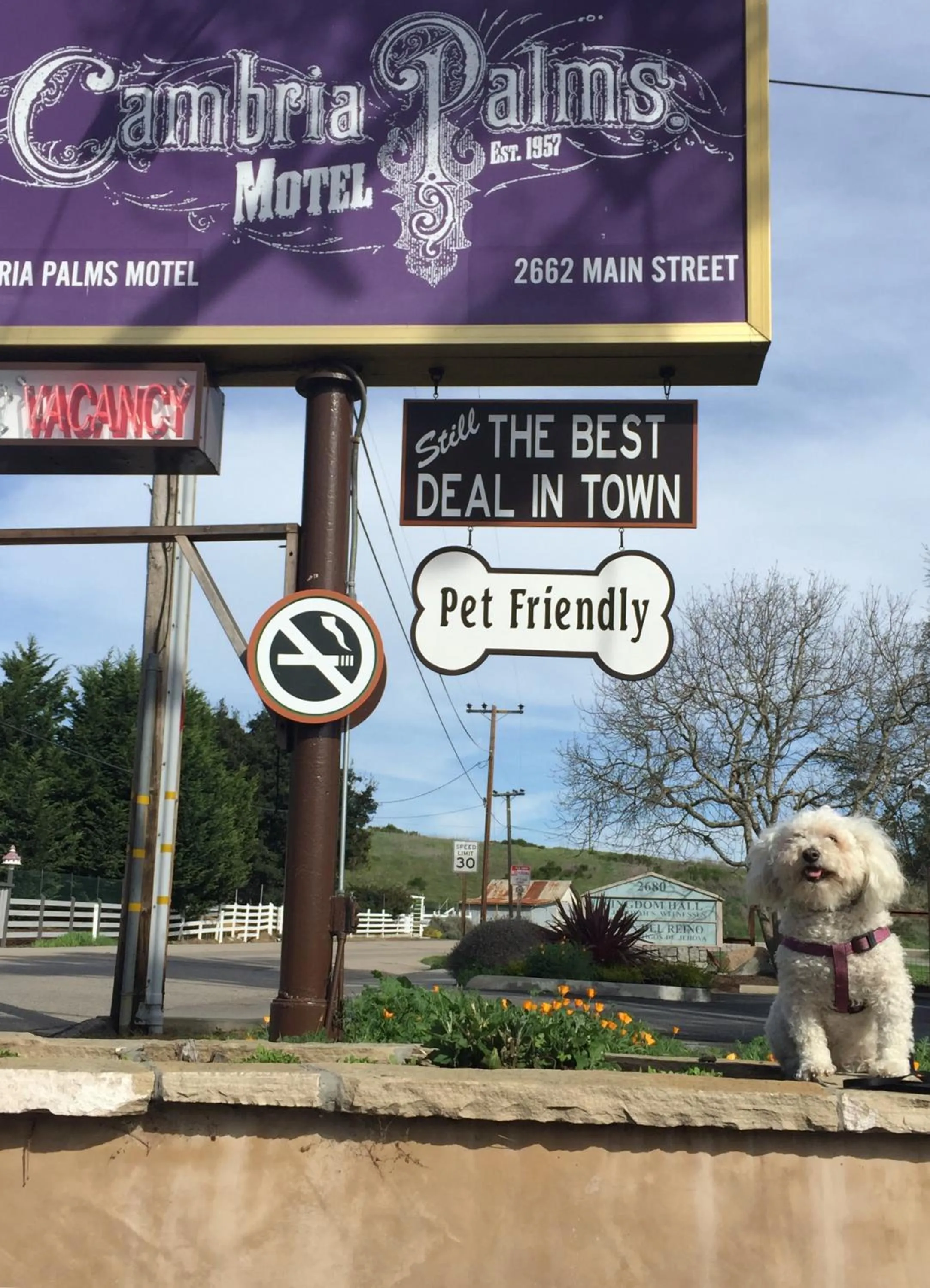 Property logo or sign in Cambria Palms Motel
