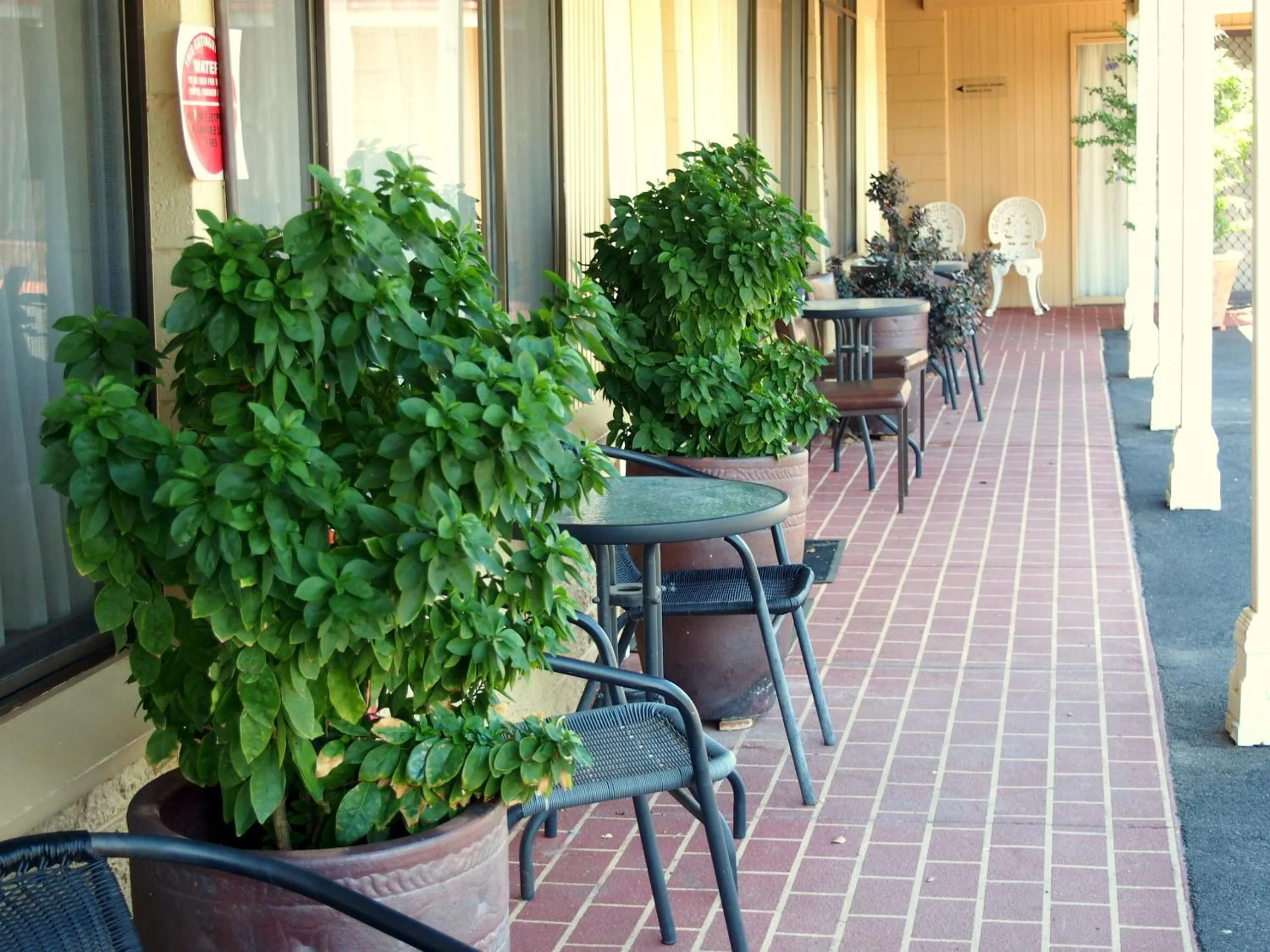 Garden in Murray River Motel