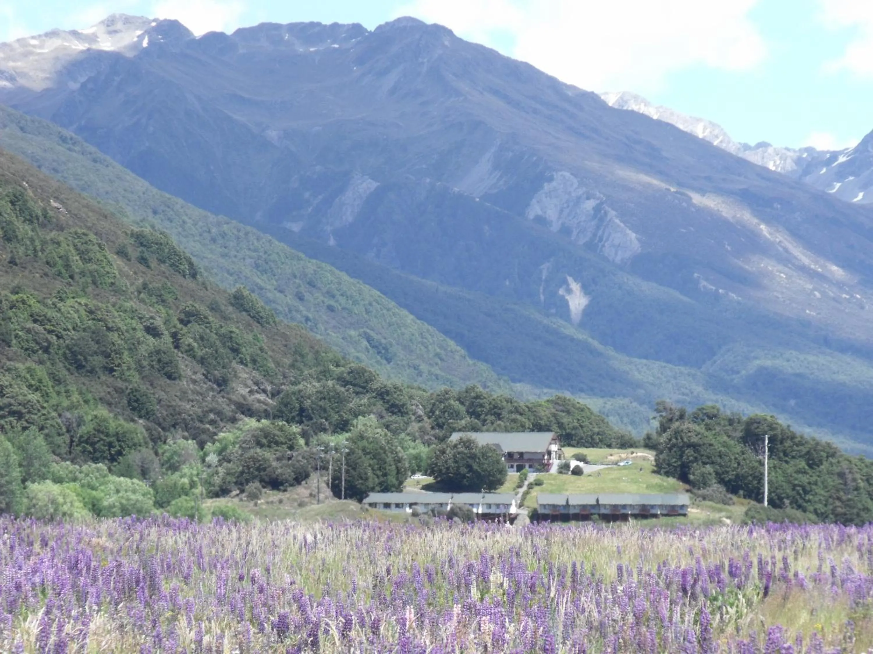 Spring in The Bealey Hotel