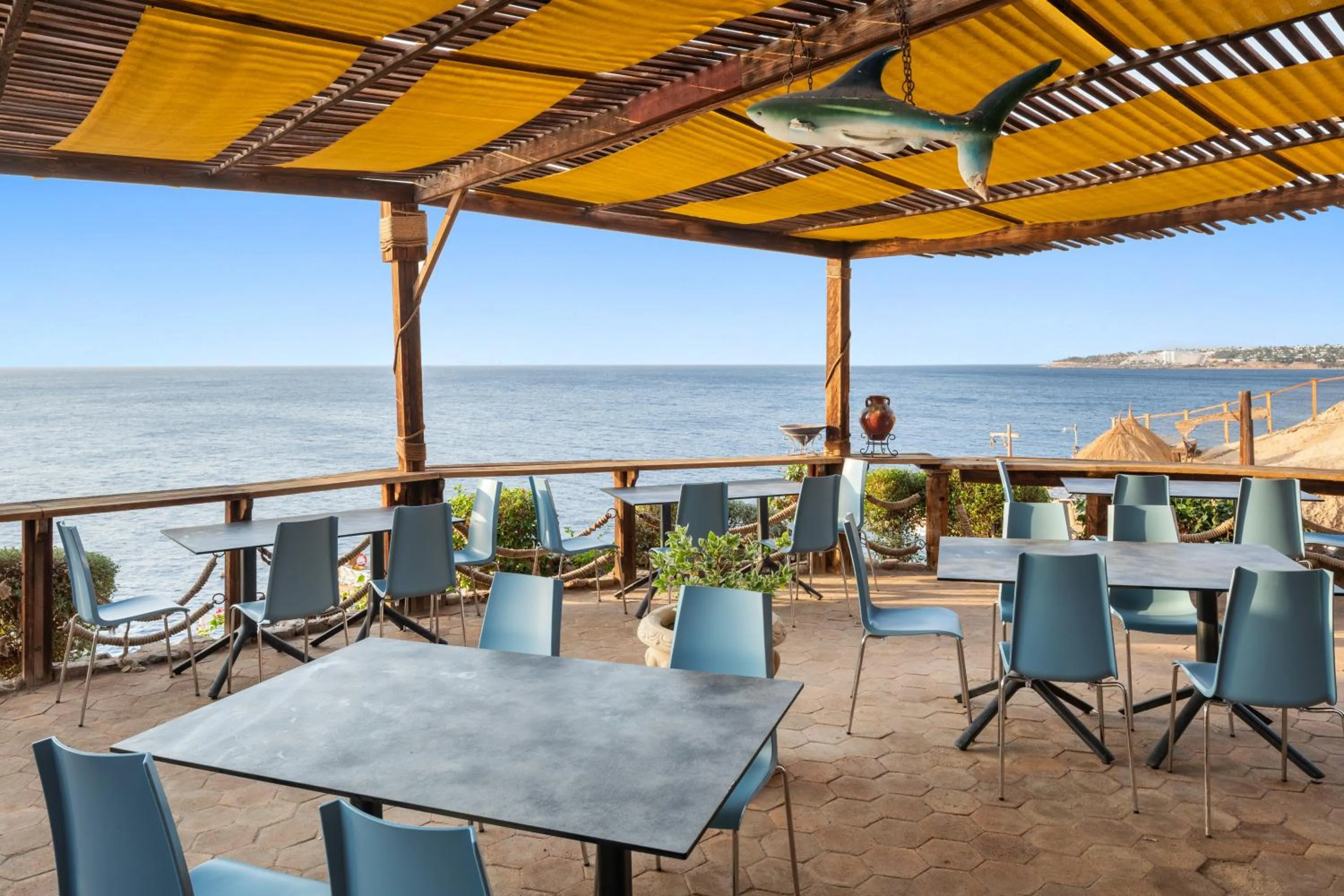 Restaurant/places to eat in Pickalbatros Golf Beach Resort - All Inclusive