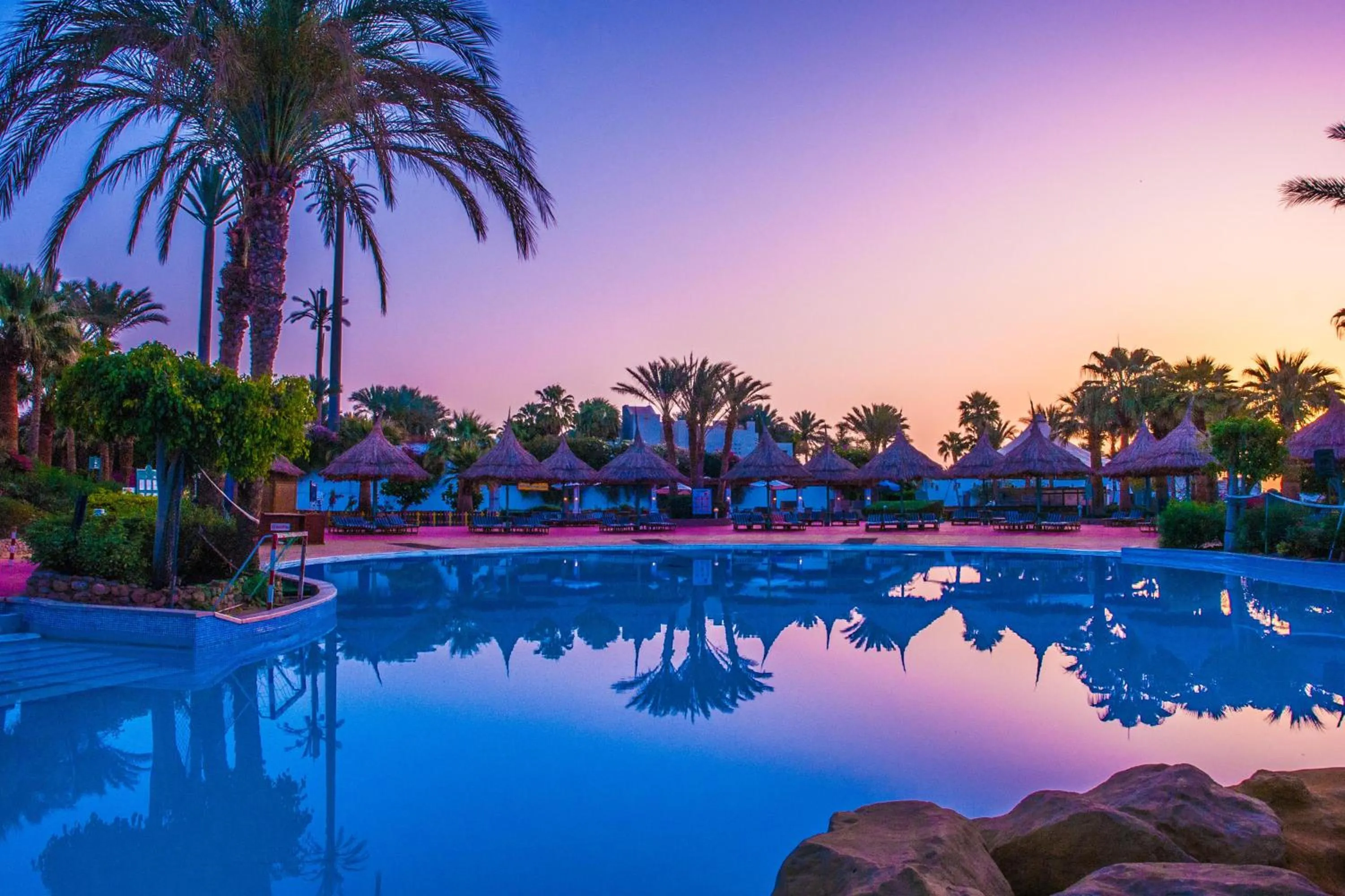 Swimming pool in Pickalbatros Golf Beach Resort - All Inclusive