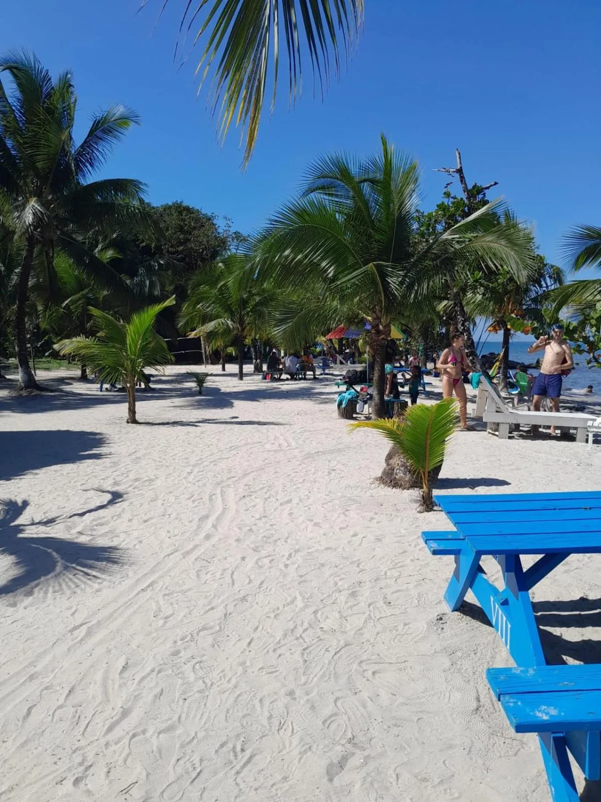 Boatique Hotel and Marina