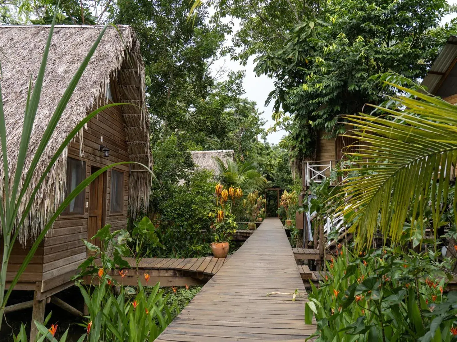 Deluxe Bungalow with Garden View in Boatique Hotel and Marina Deluxe Bungalow with Garden View in Boatique Hotel and Marina