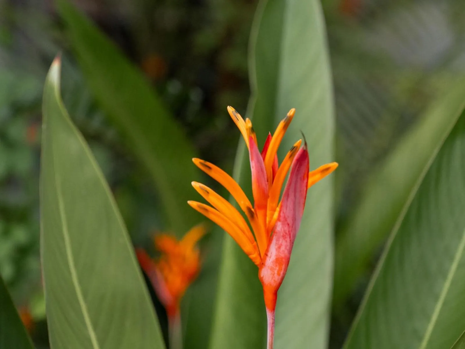 Boatique Hotel and Marina