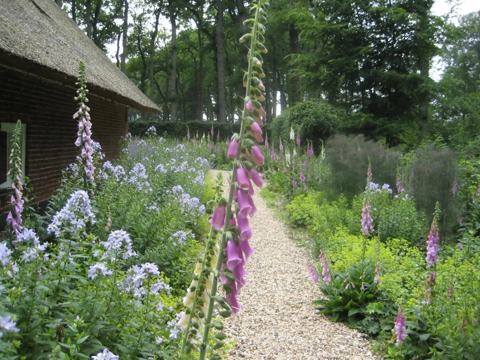 Garden in Landgoedhoeve Vosbergen