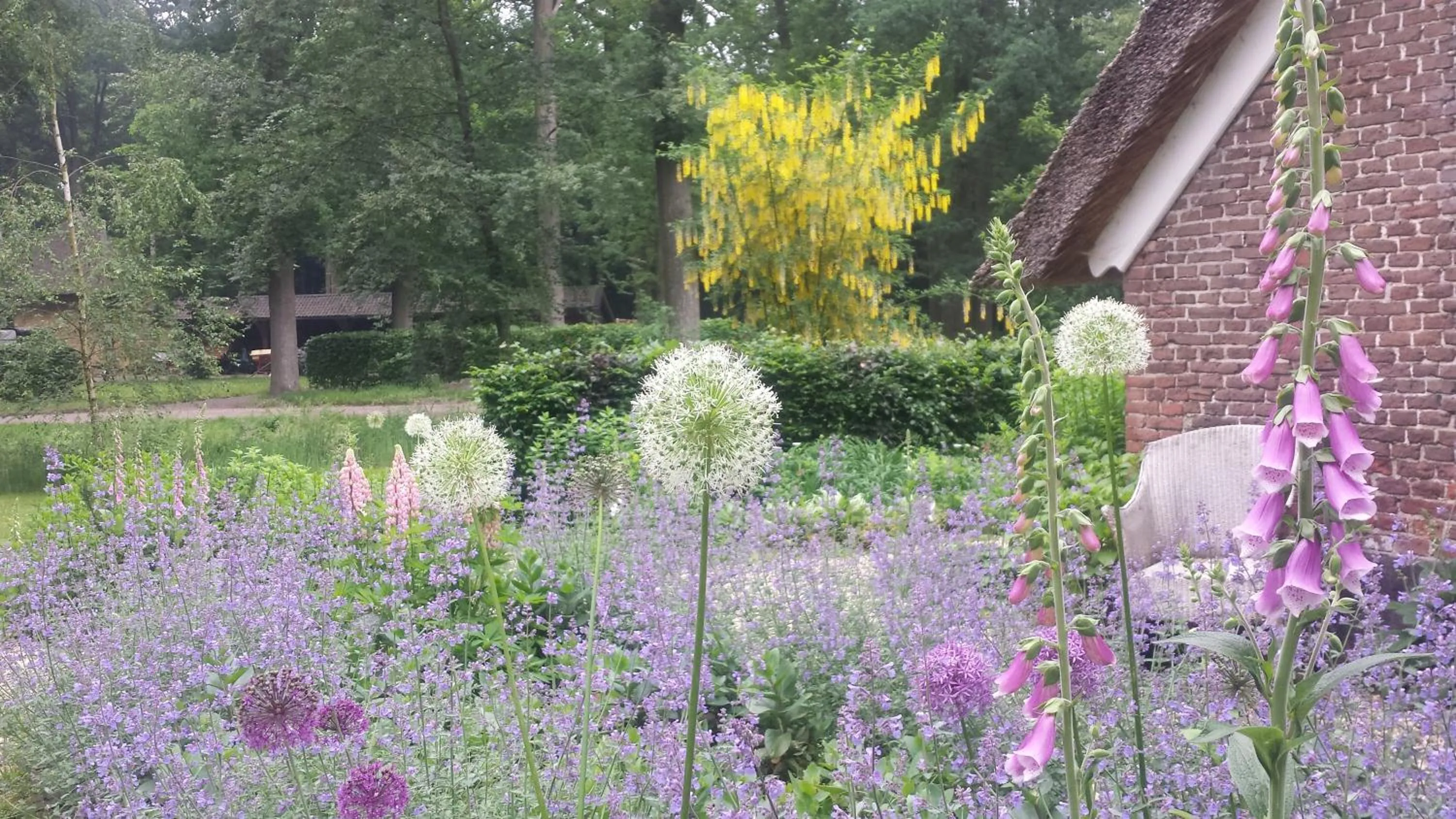 Garden view in Landgoedhoeve Vosbergen