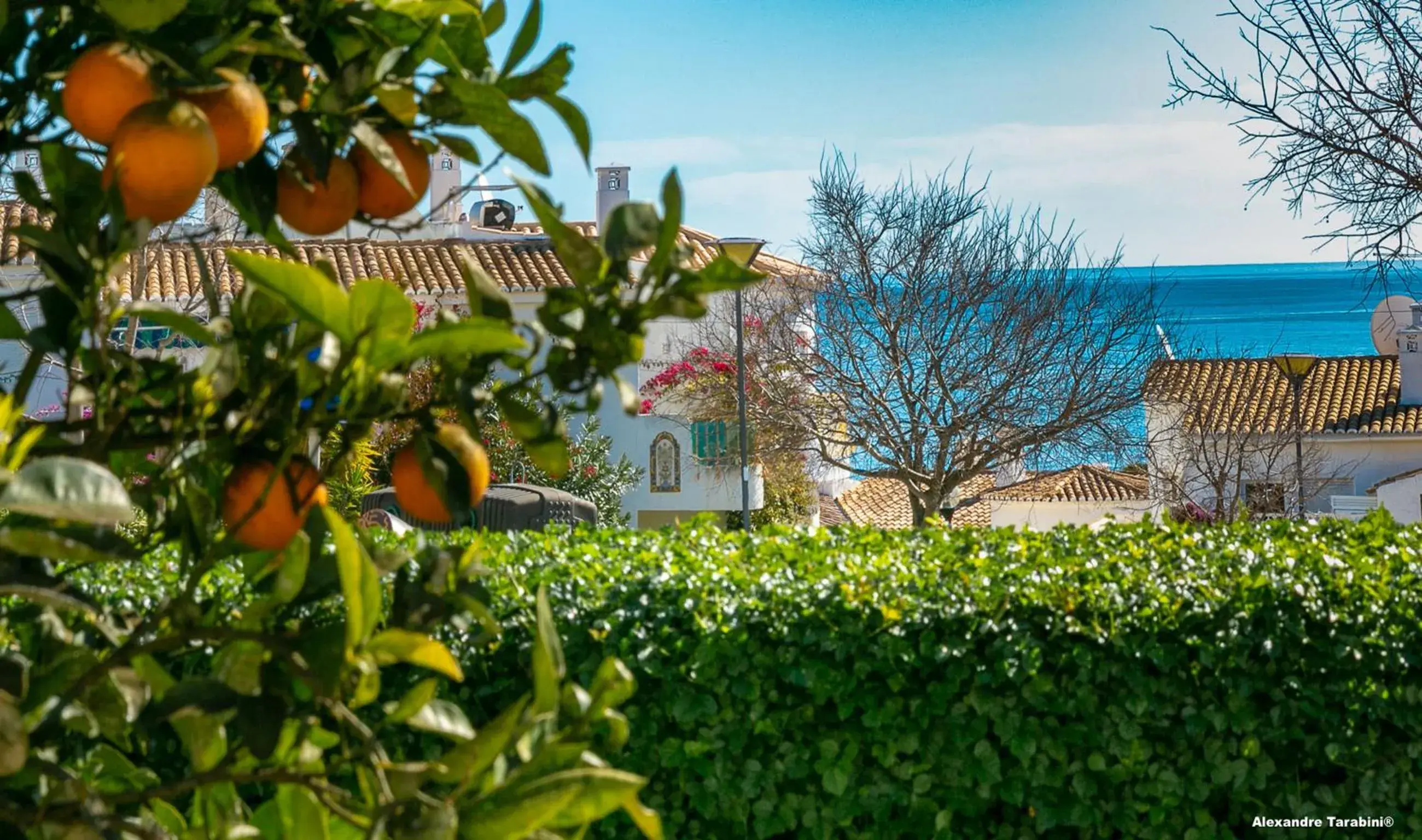 Sunshine Apartment in Luz Sunshine Apartment in Luz