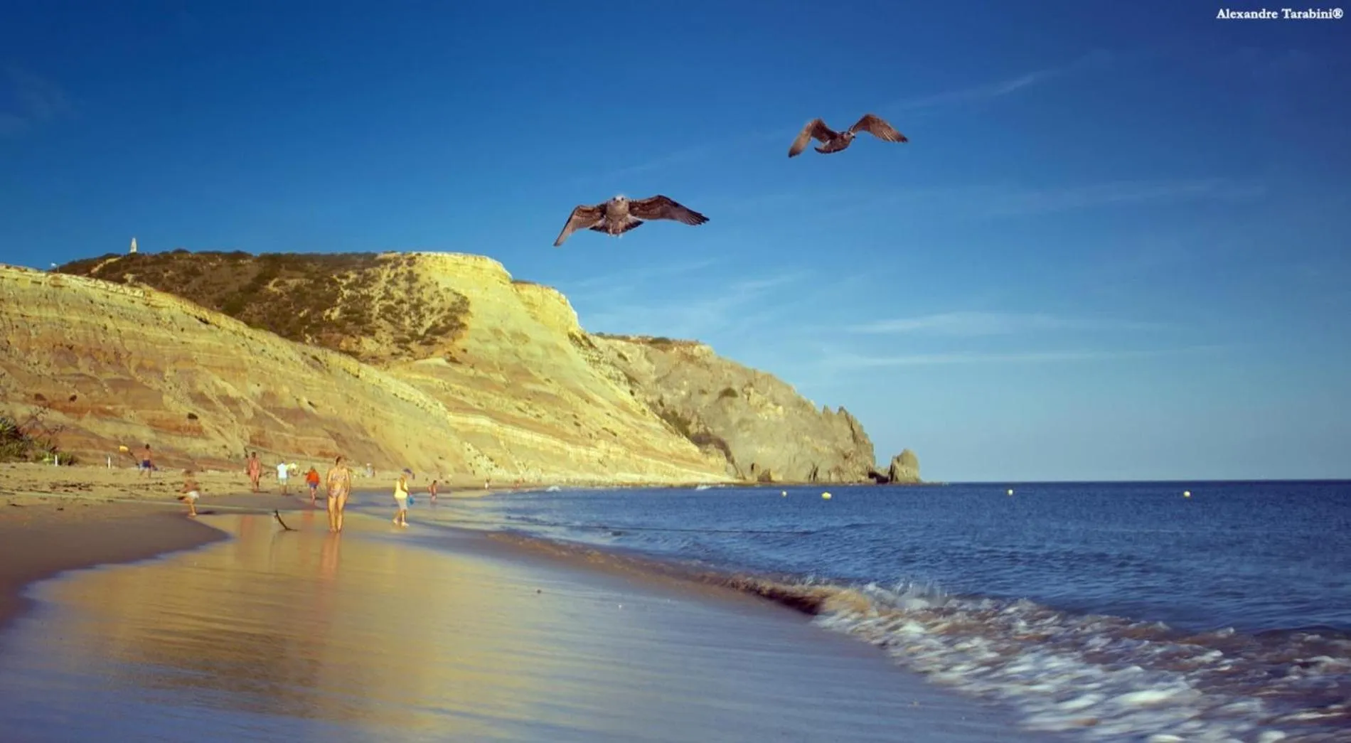 Floor plan in C12 - Sunshine Apartment in Luz