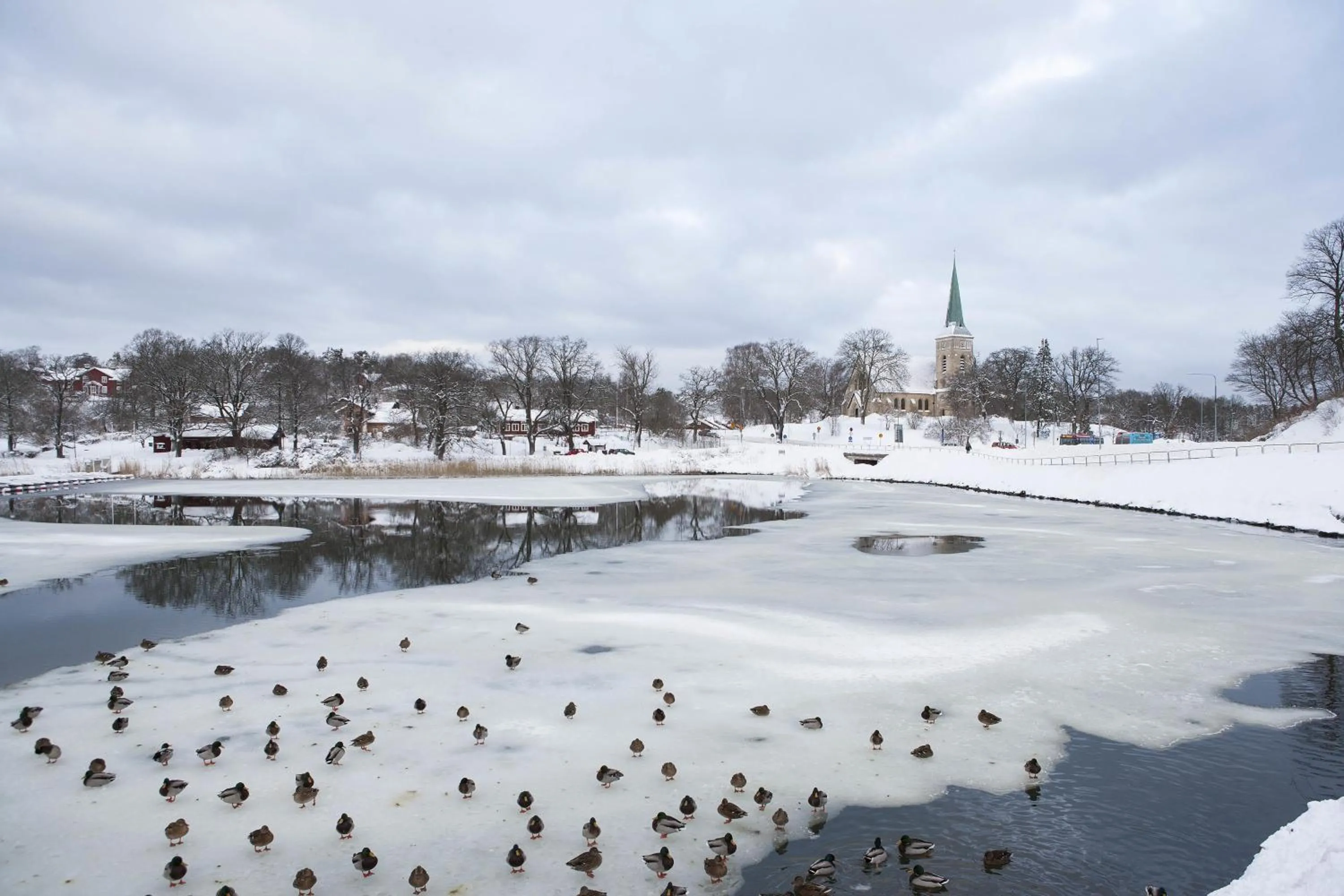 Street view in Hotell Blå Blom