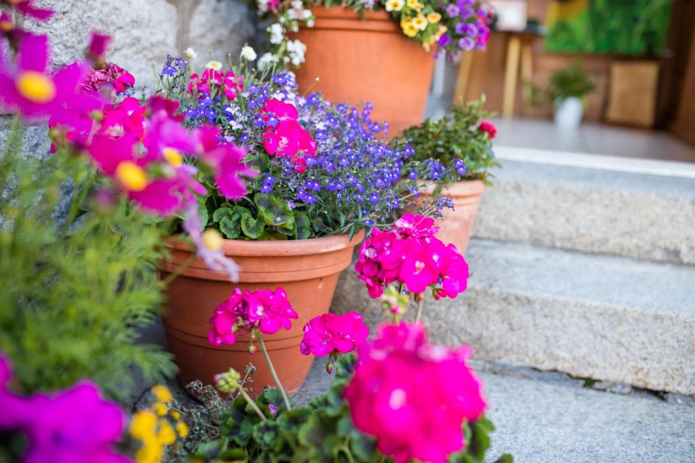 Facade/entrance in Hotel Nufenen
