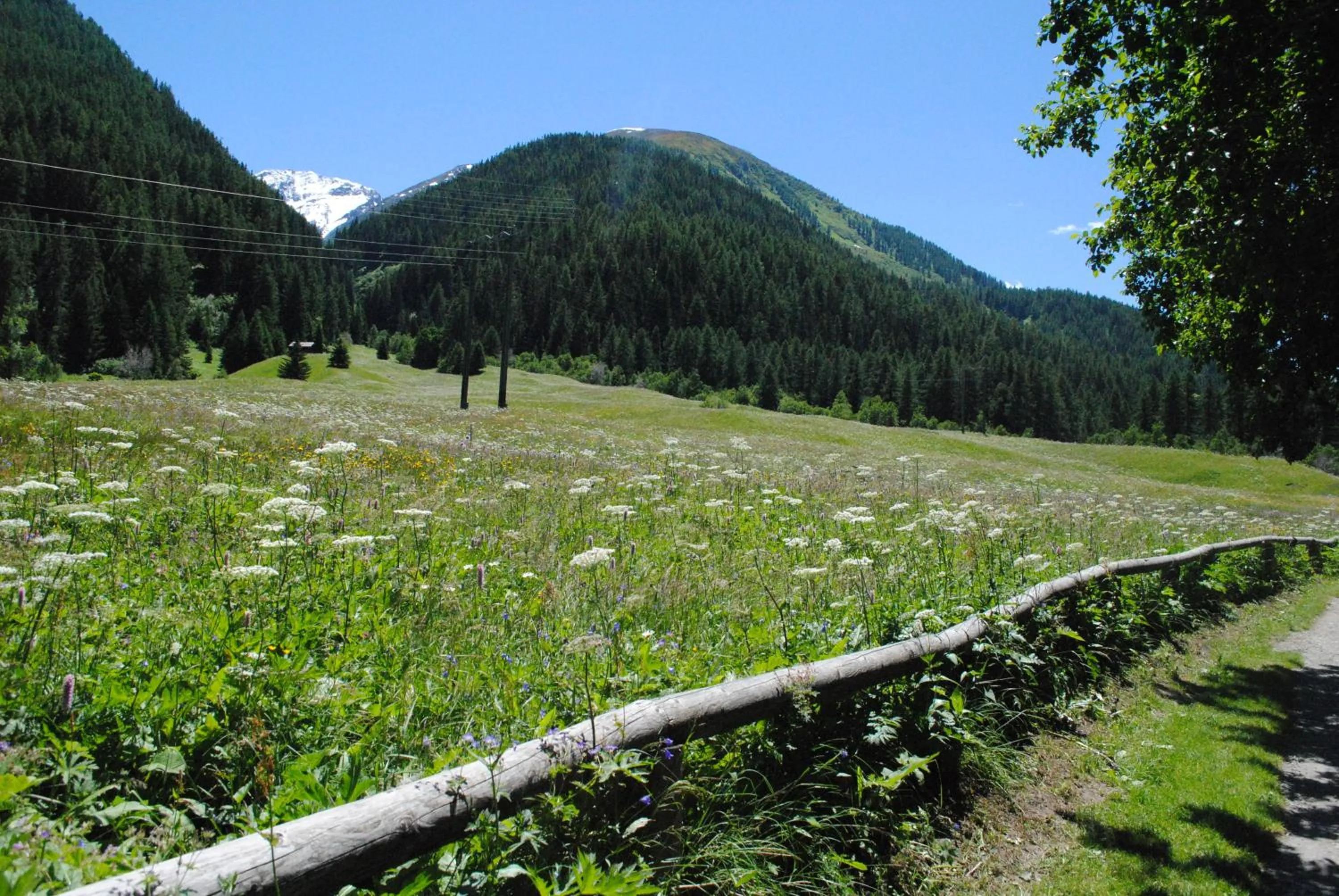 Hiking in Hotel Nufenen