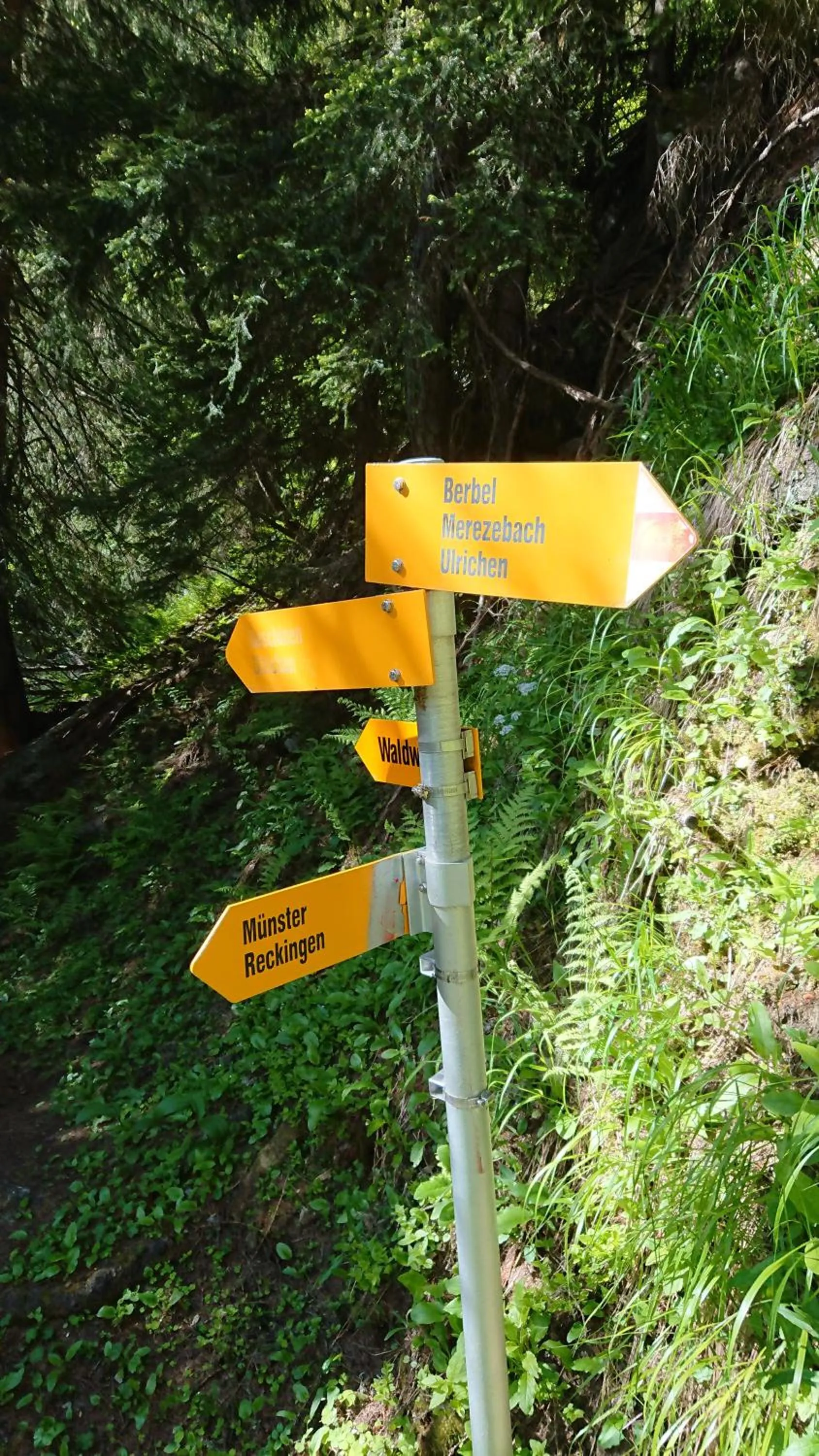 Hiking in Hotel Nufenen