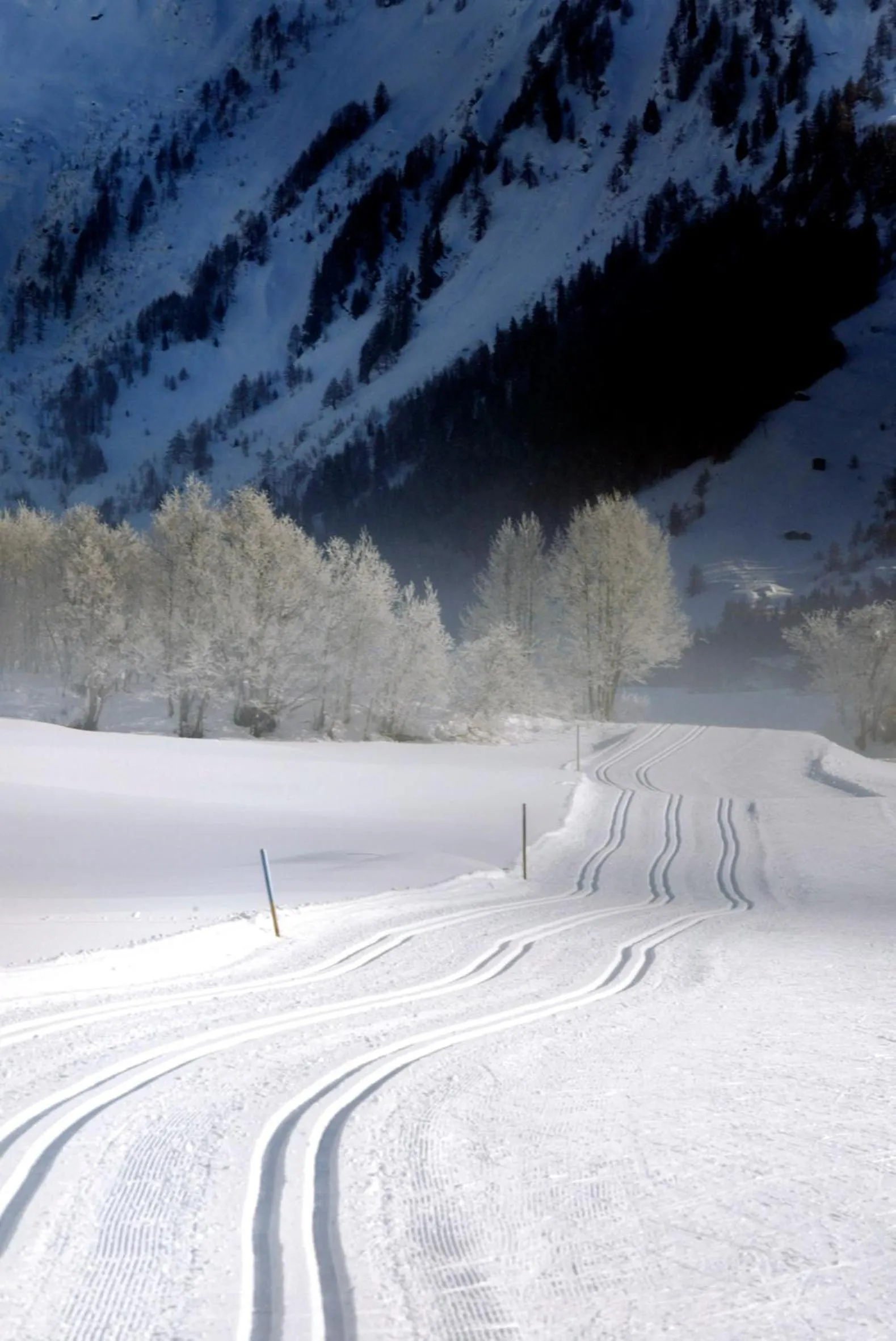 Natural landscape in Hotel Nufenen